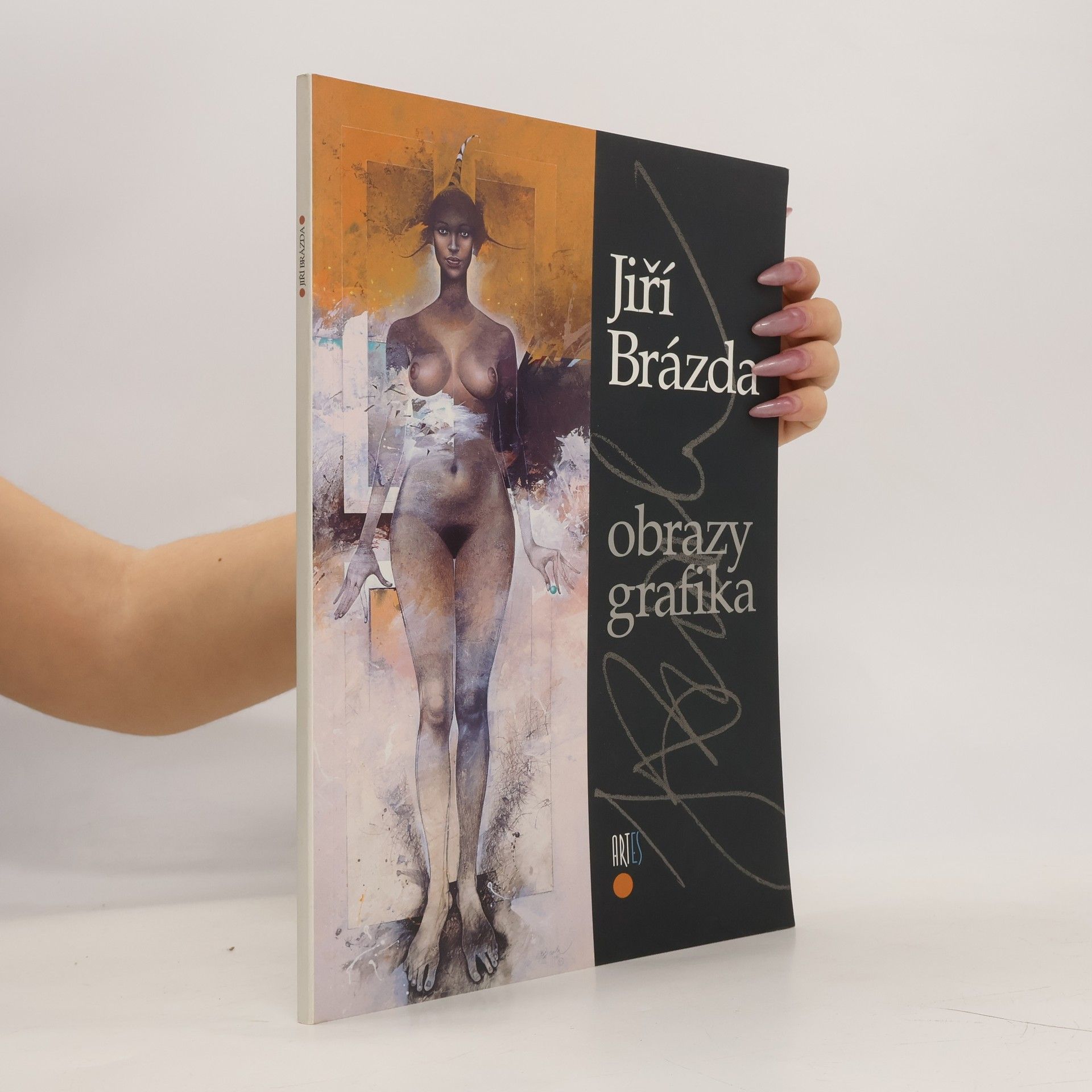 Collective Jiří Brázda - Obrazy, grafika
