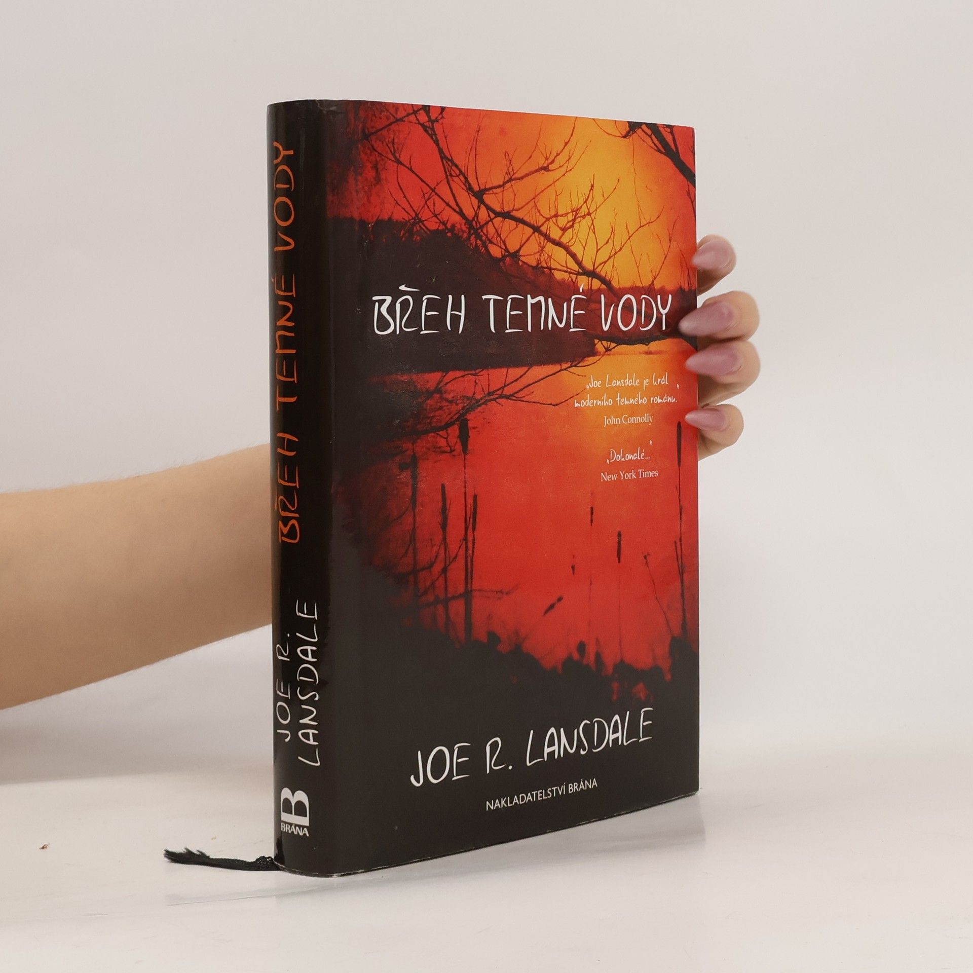 Joe R. Lansdale Břeh temné vody