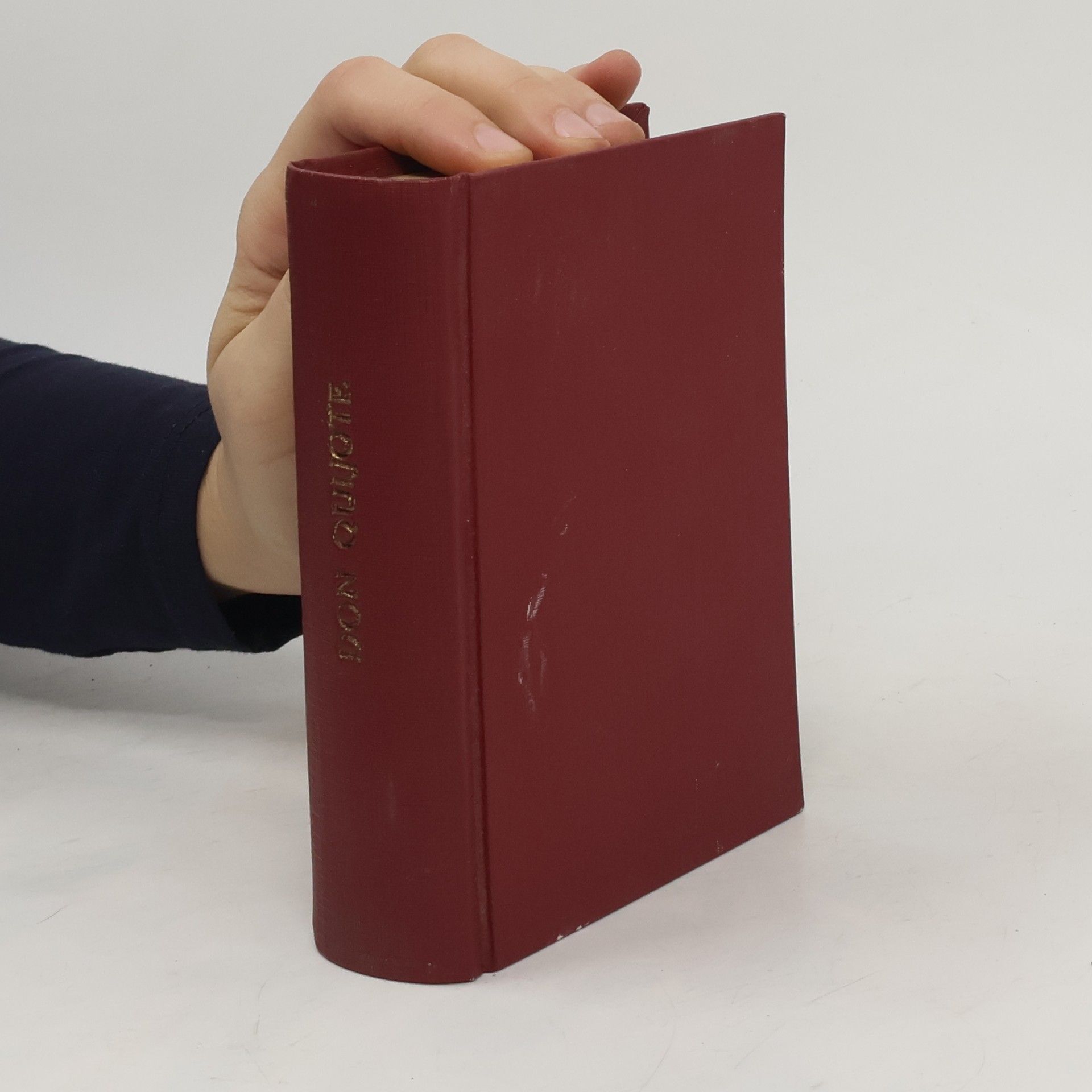 Miguel de Cervantes Důmyslný rytíř Don Quijote de la Mancha I.