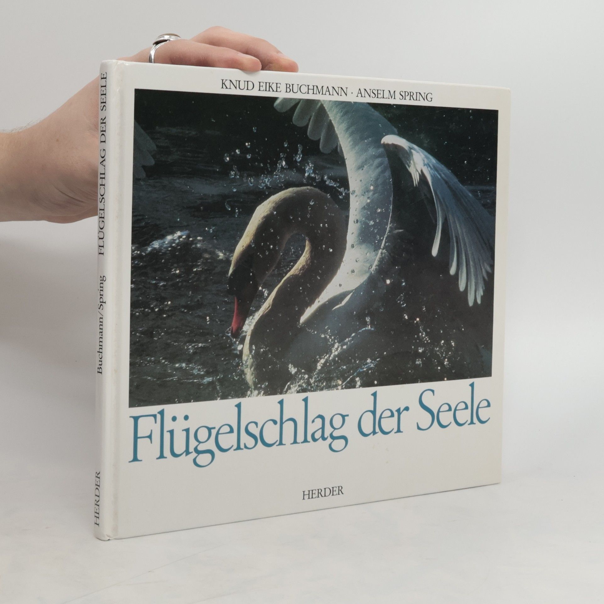 Collectif d'auteurs Flügelschlag der Seele