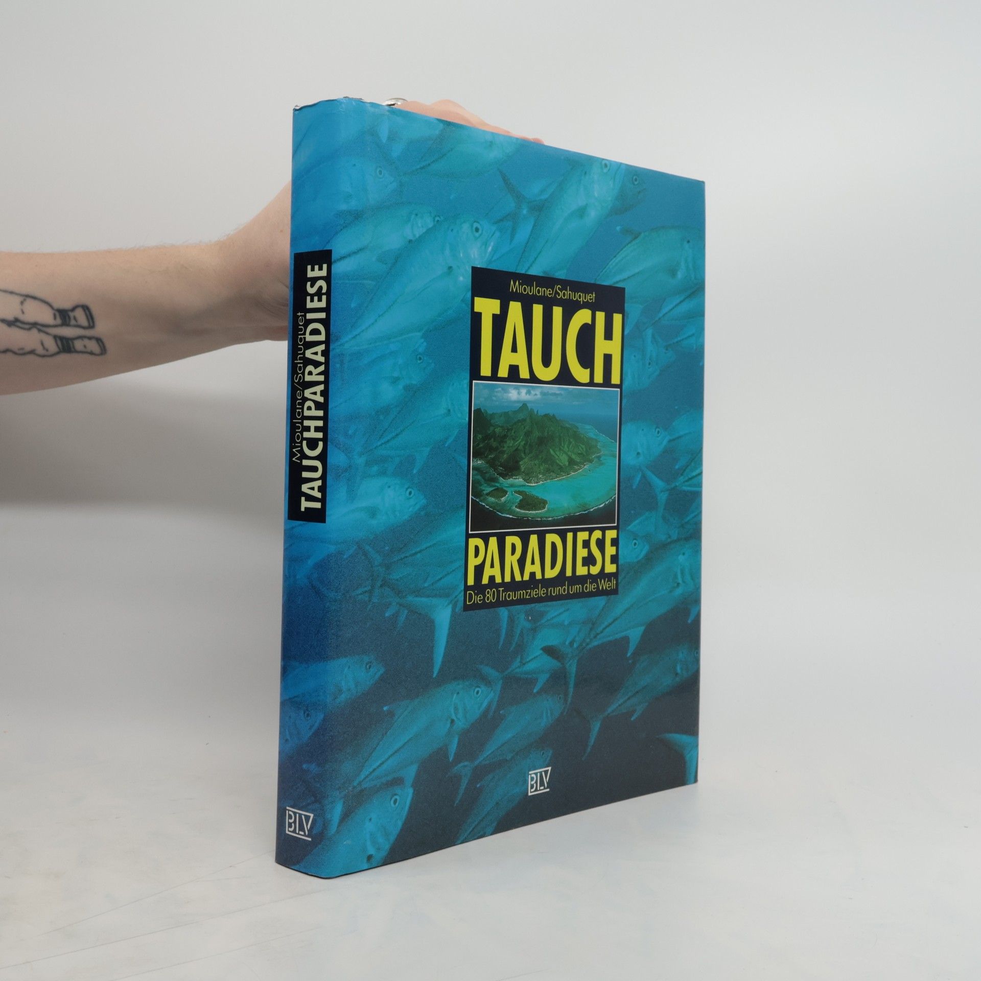 Patrick Mioulane Tauchparadiese