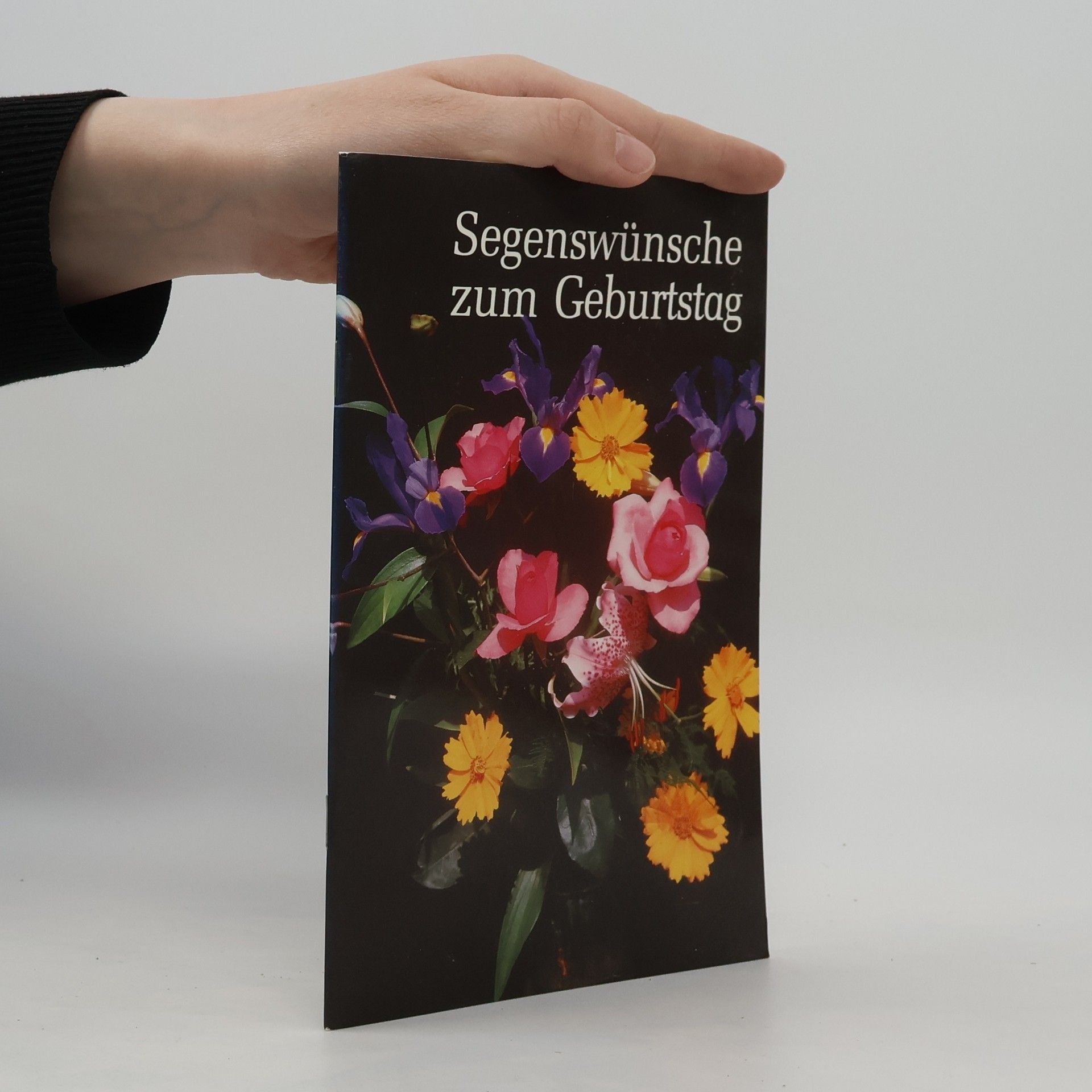Kolektiv autorů Segenswünsche zum Geburtstag