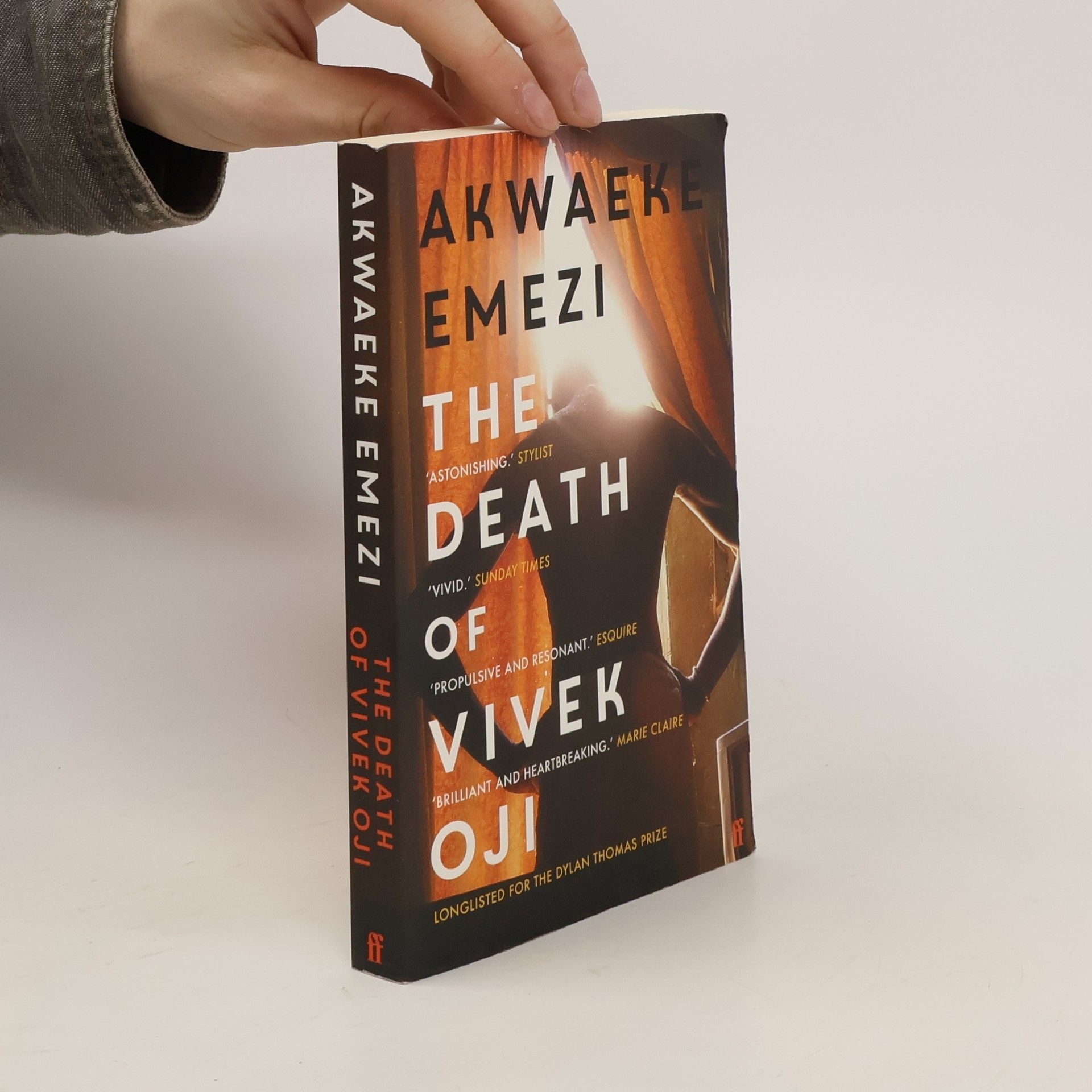 Akwaeke Emezi The death of Vivek Oji