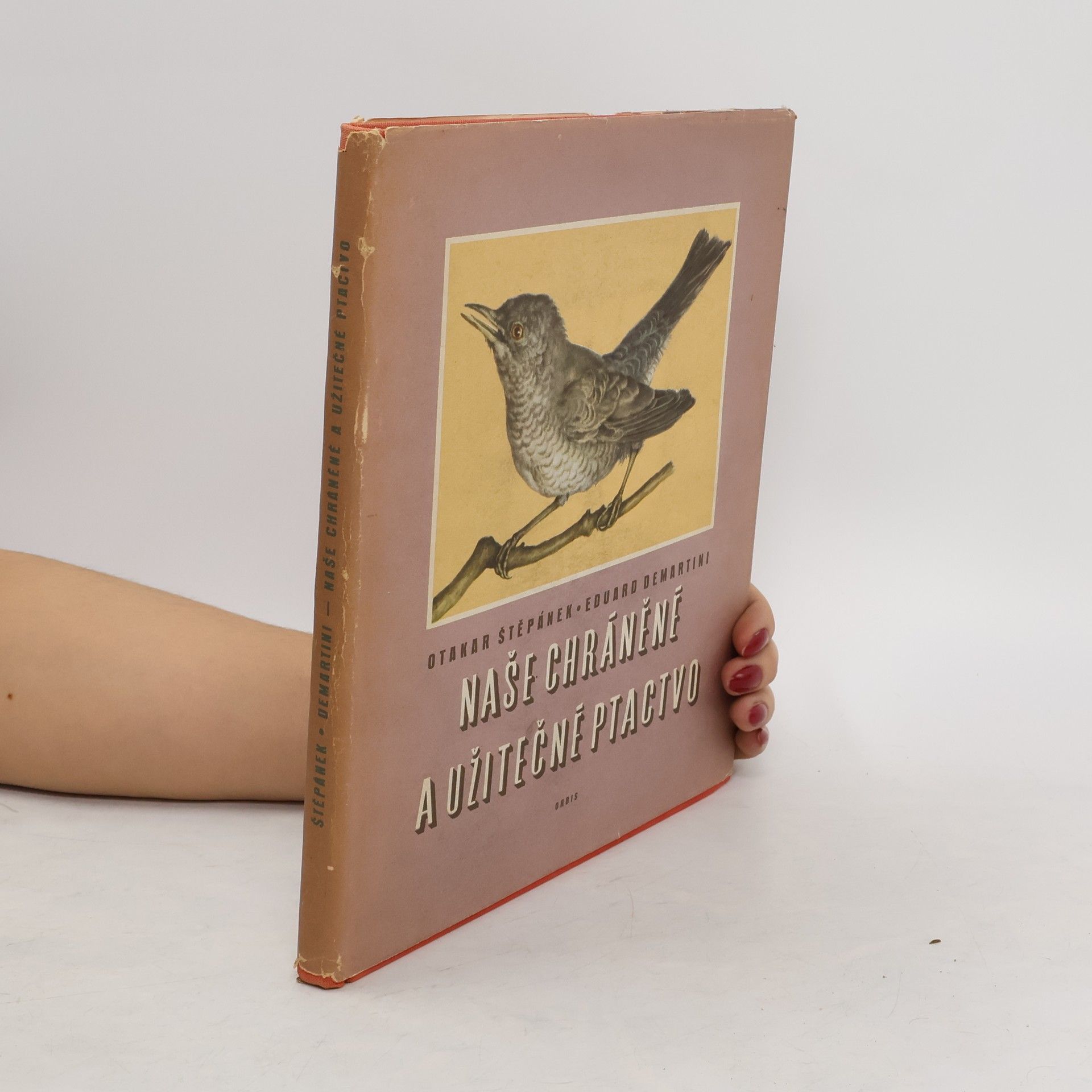 Naše chráněné a užitečné ptactvo