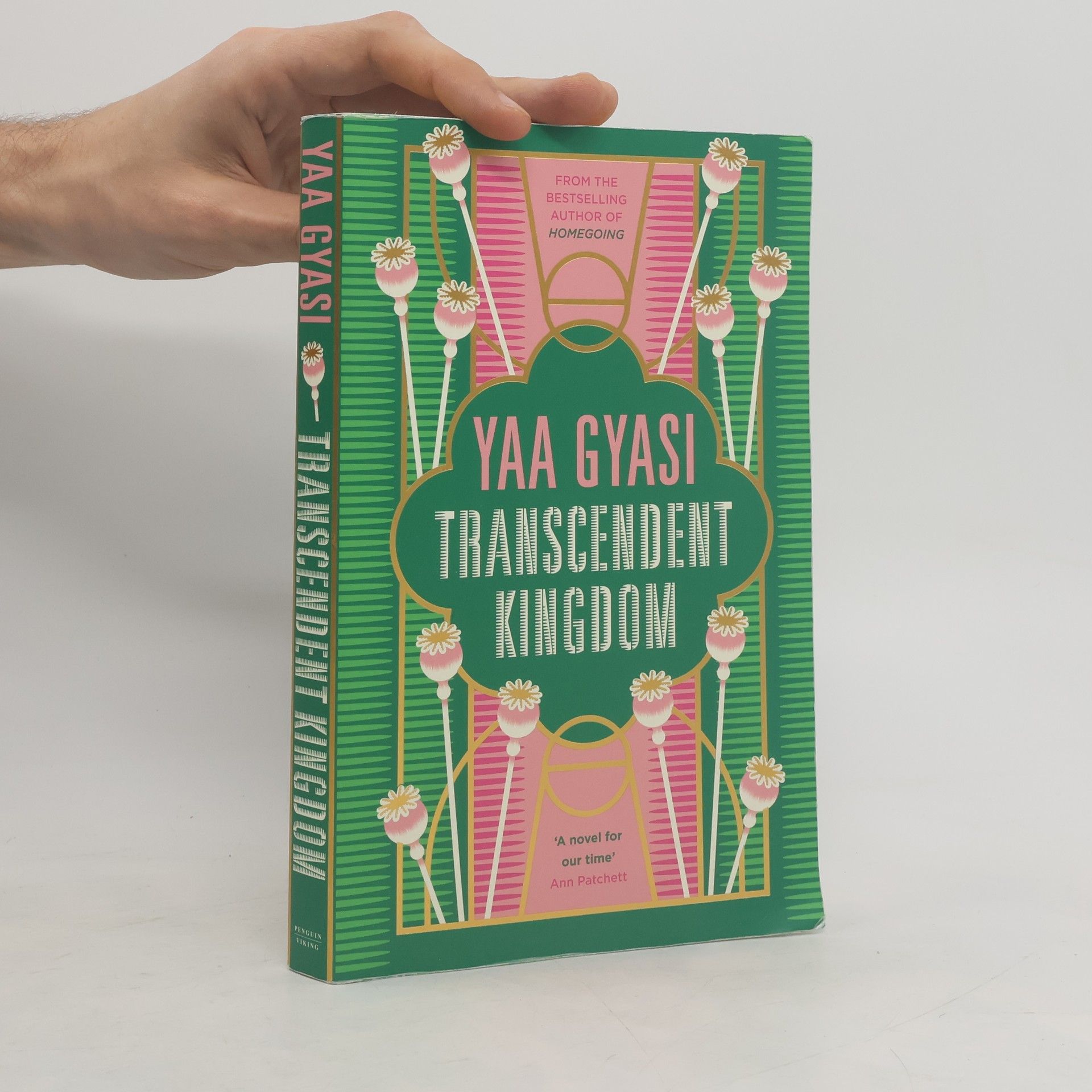 Yaa Gyasi Transcendent Kingdom