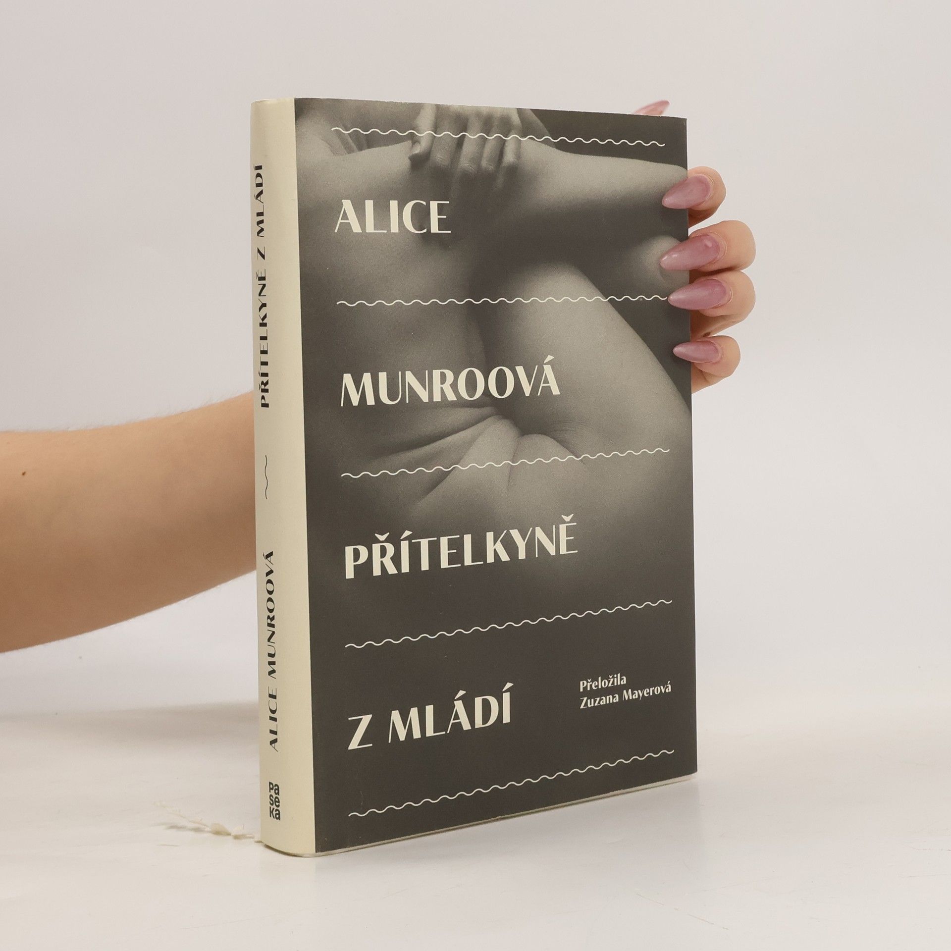 Alice Munro Přítelkyně z mládí