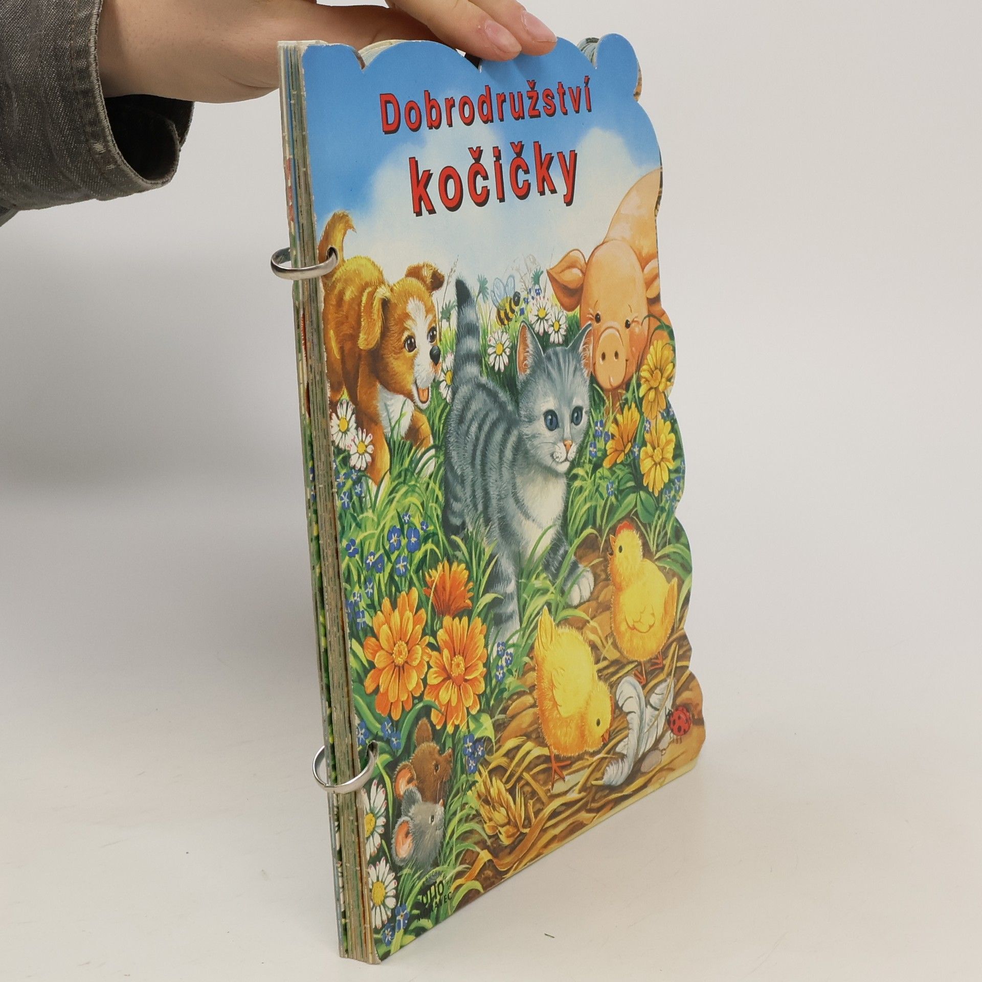 J. Vašíčková Dobrodružství kočičky