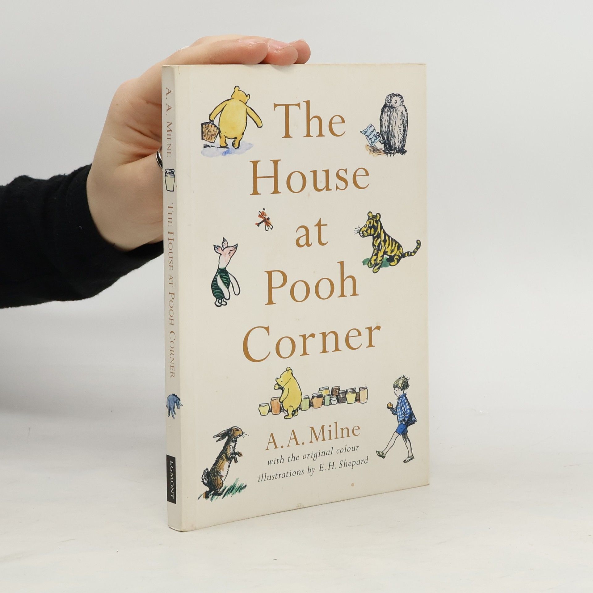 Milne A.A. The House at Pooh Corner