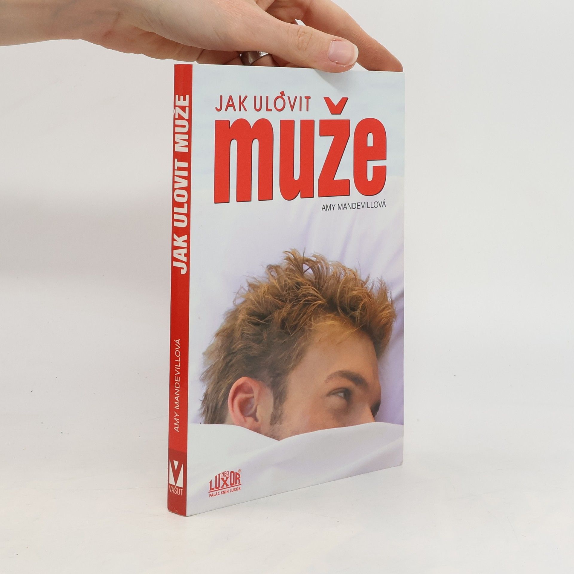 Amy Mandeville Jak ulovit muže