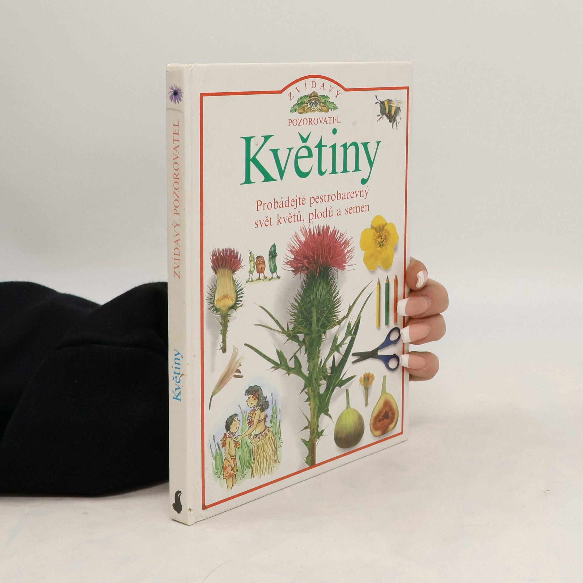 David Burnie Květiny