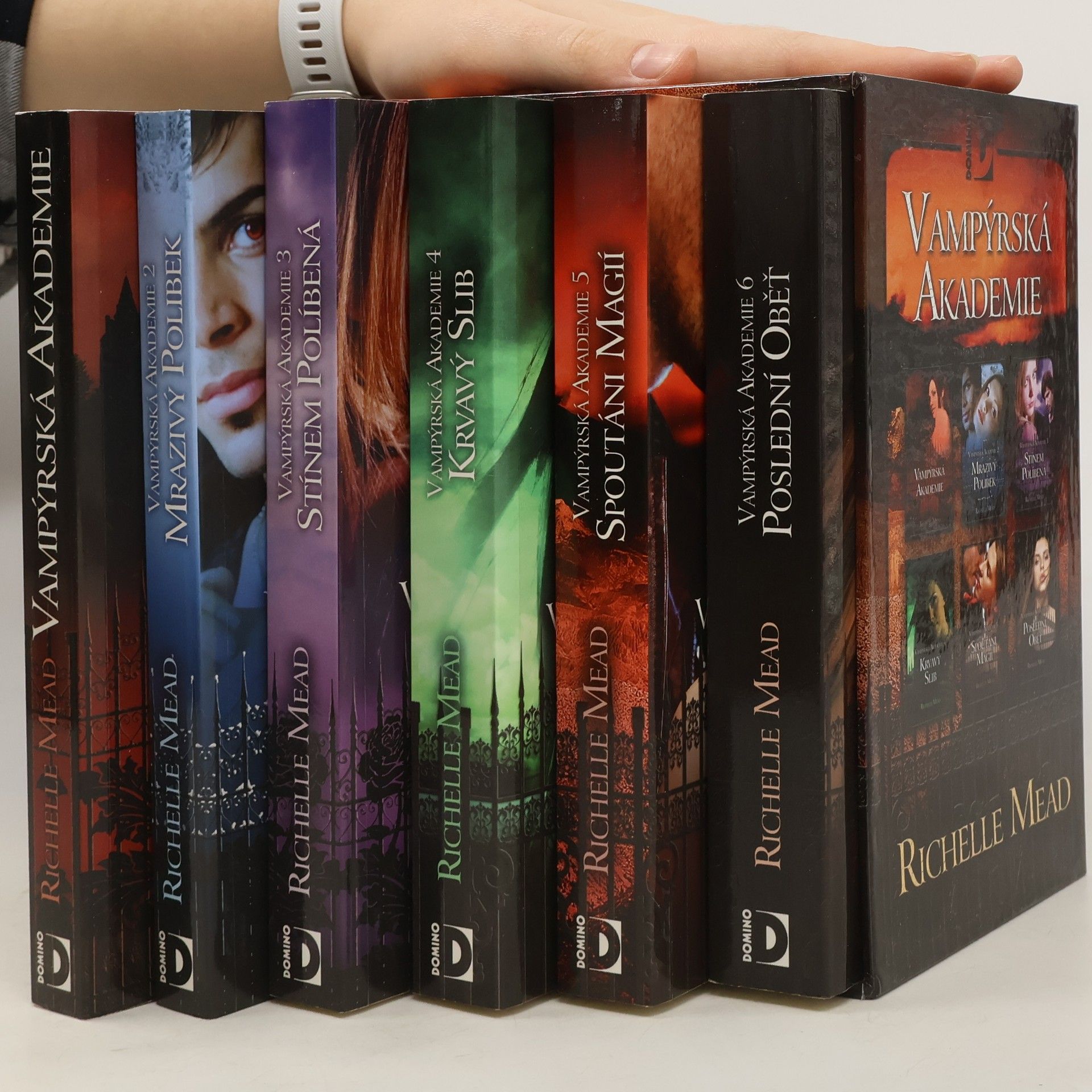 Richelle Mead Vampýrská akademie