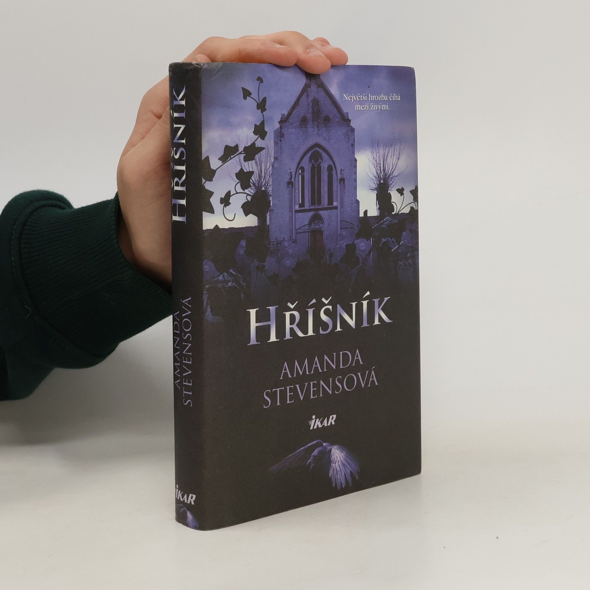 Amanda Stevens Hříšník