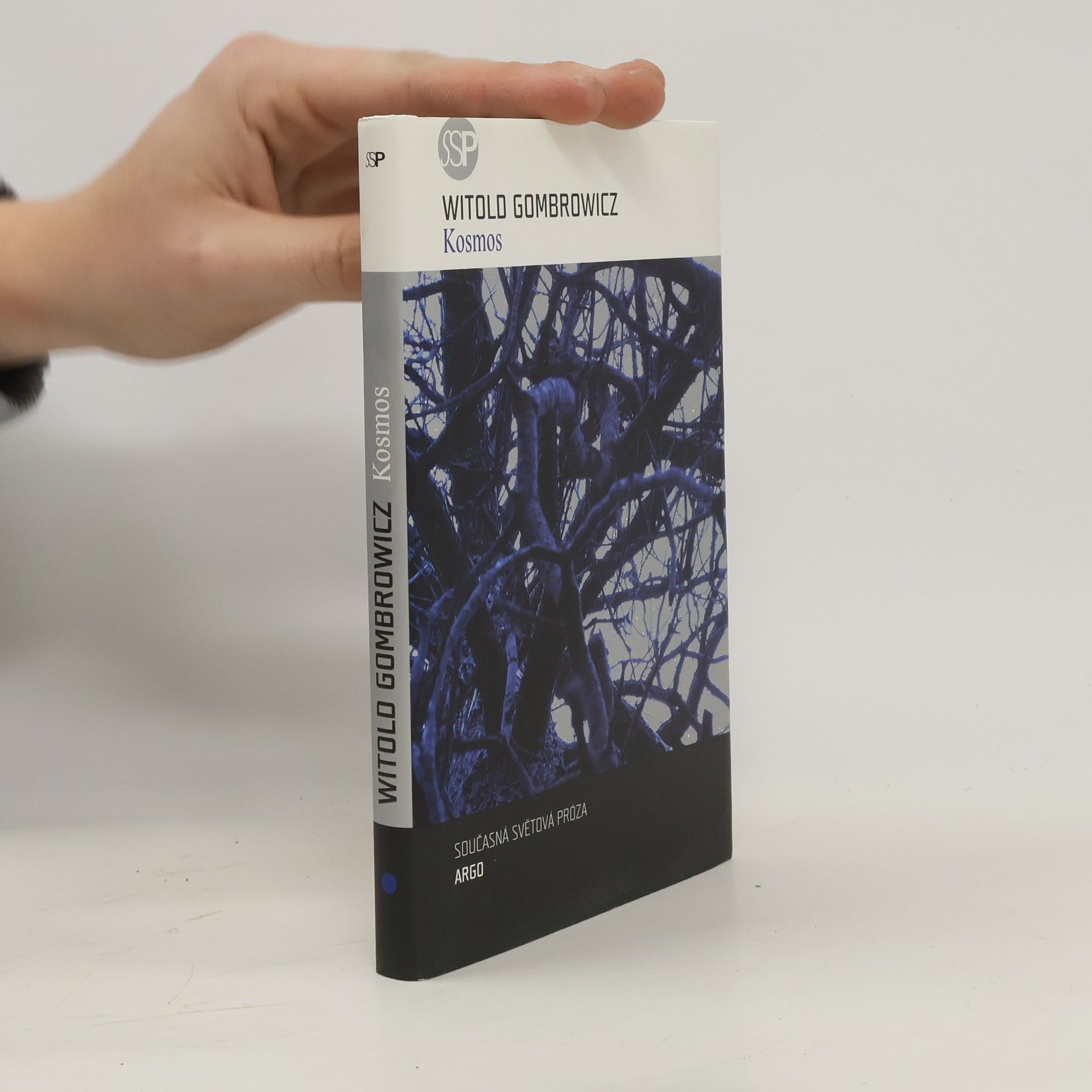 Witold Gombrowicz Kosmos