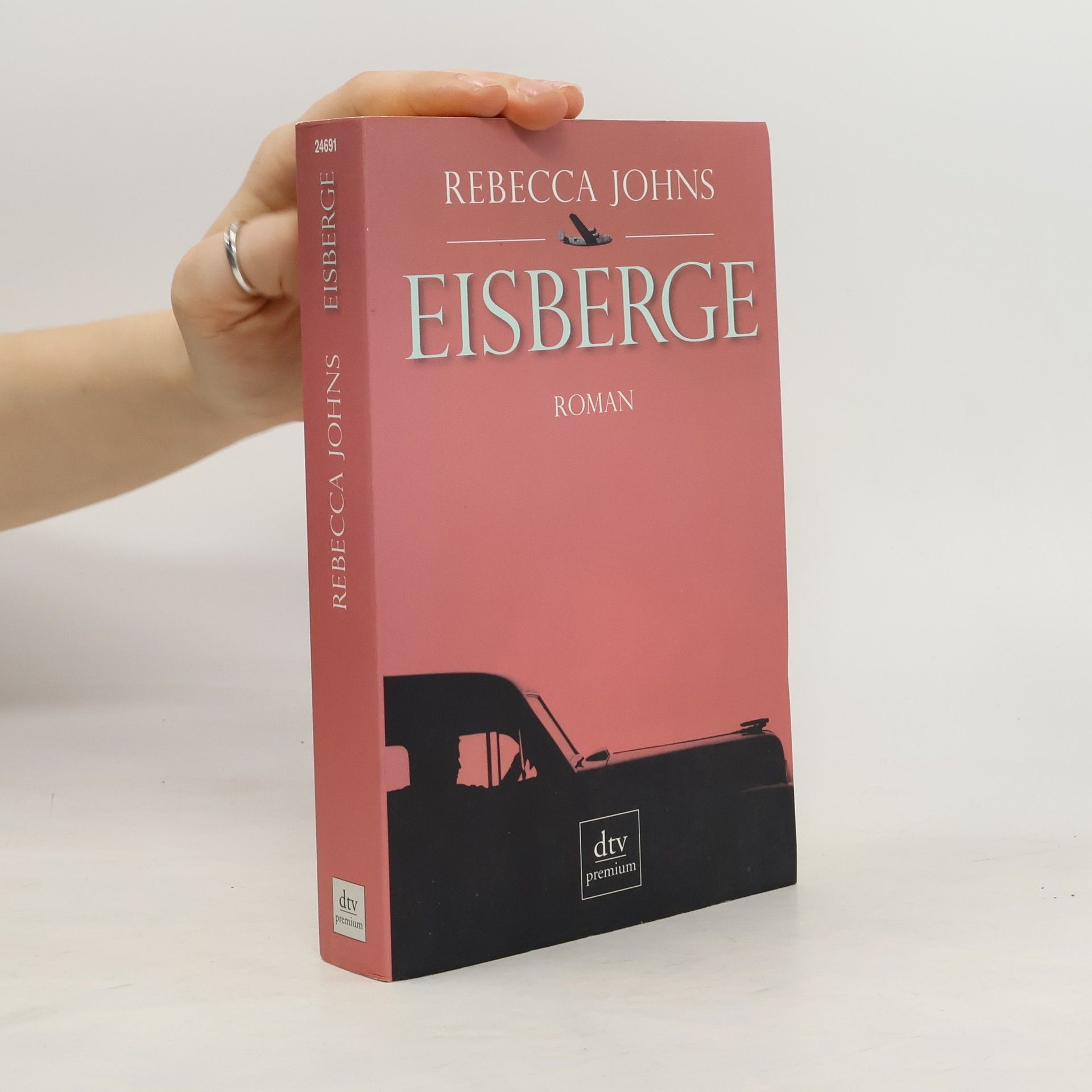 Rebecca Johns Eisberge. Roman