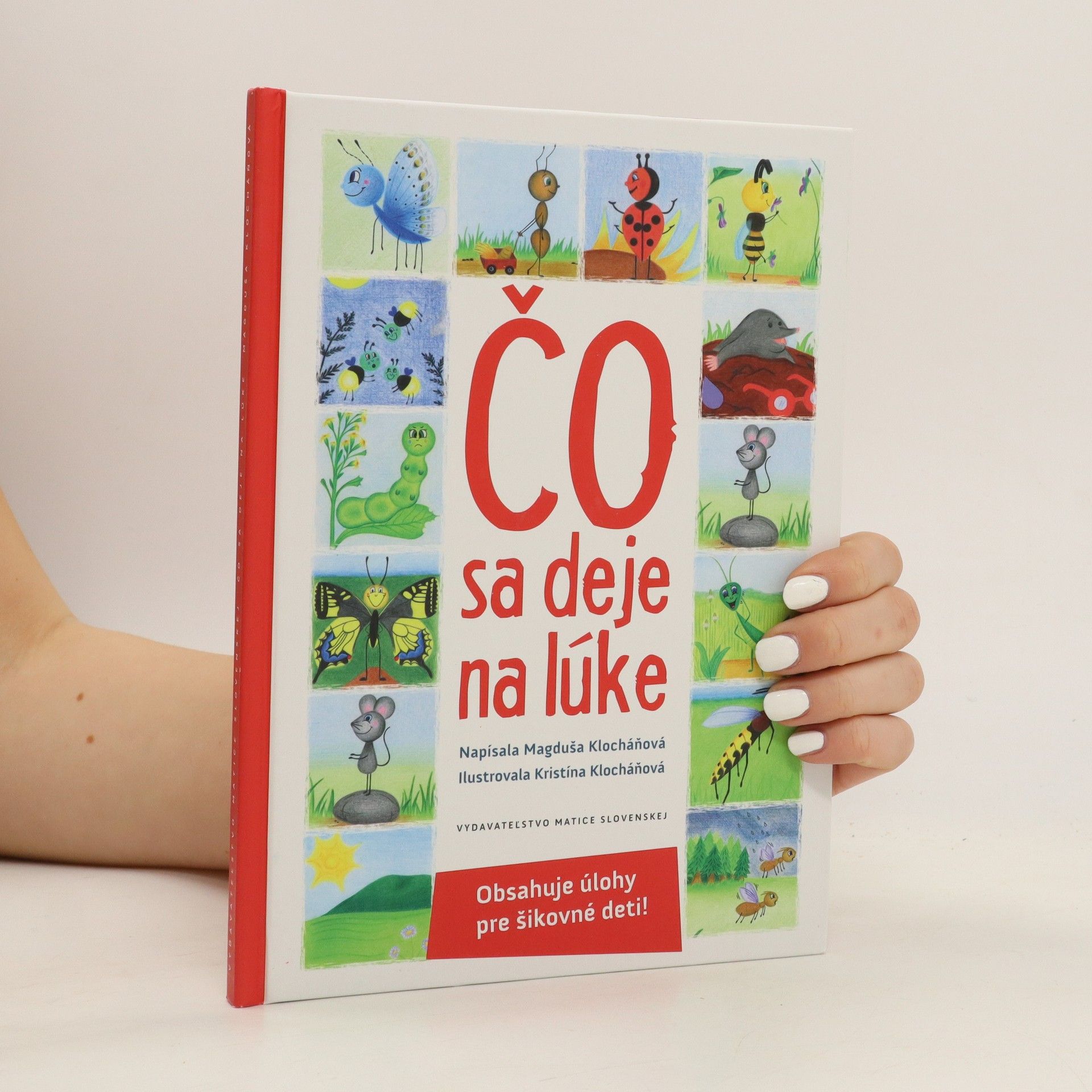 Magduša Klocháňová Čo sa deje na lúke