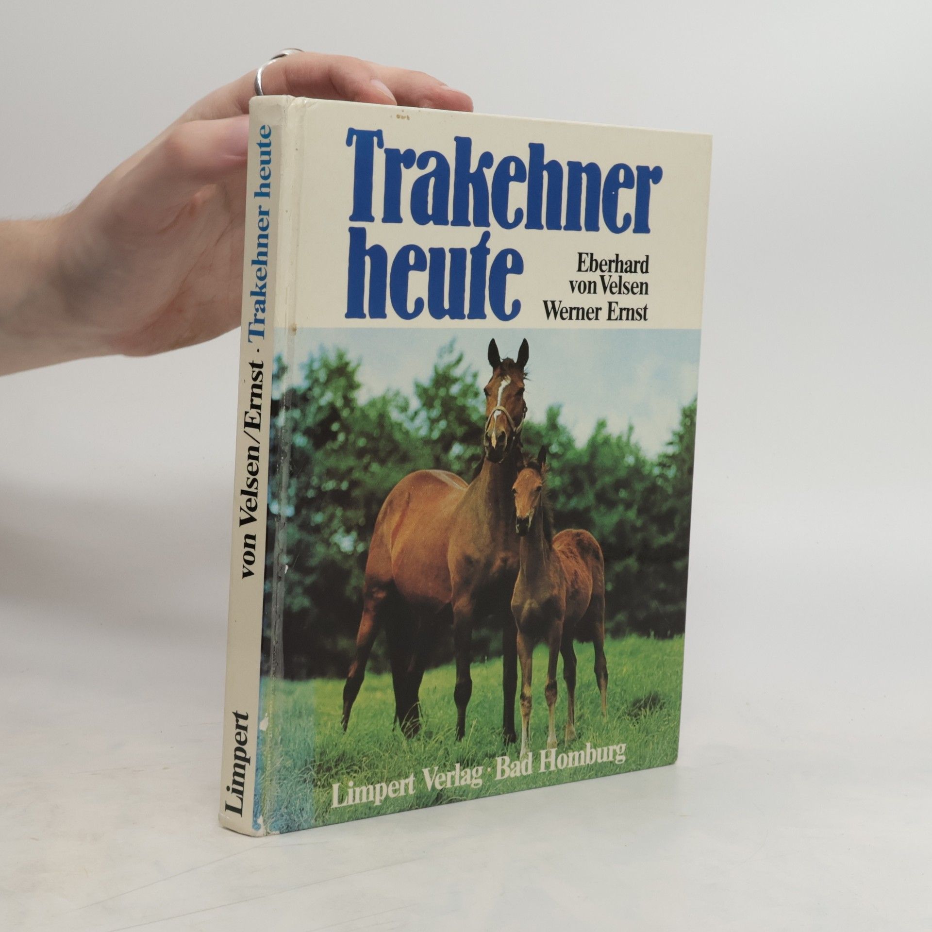 Eberhard von Velsen Trakehner heute