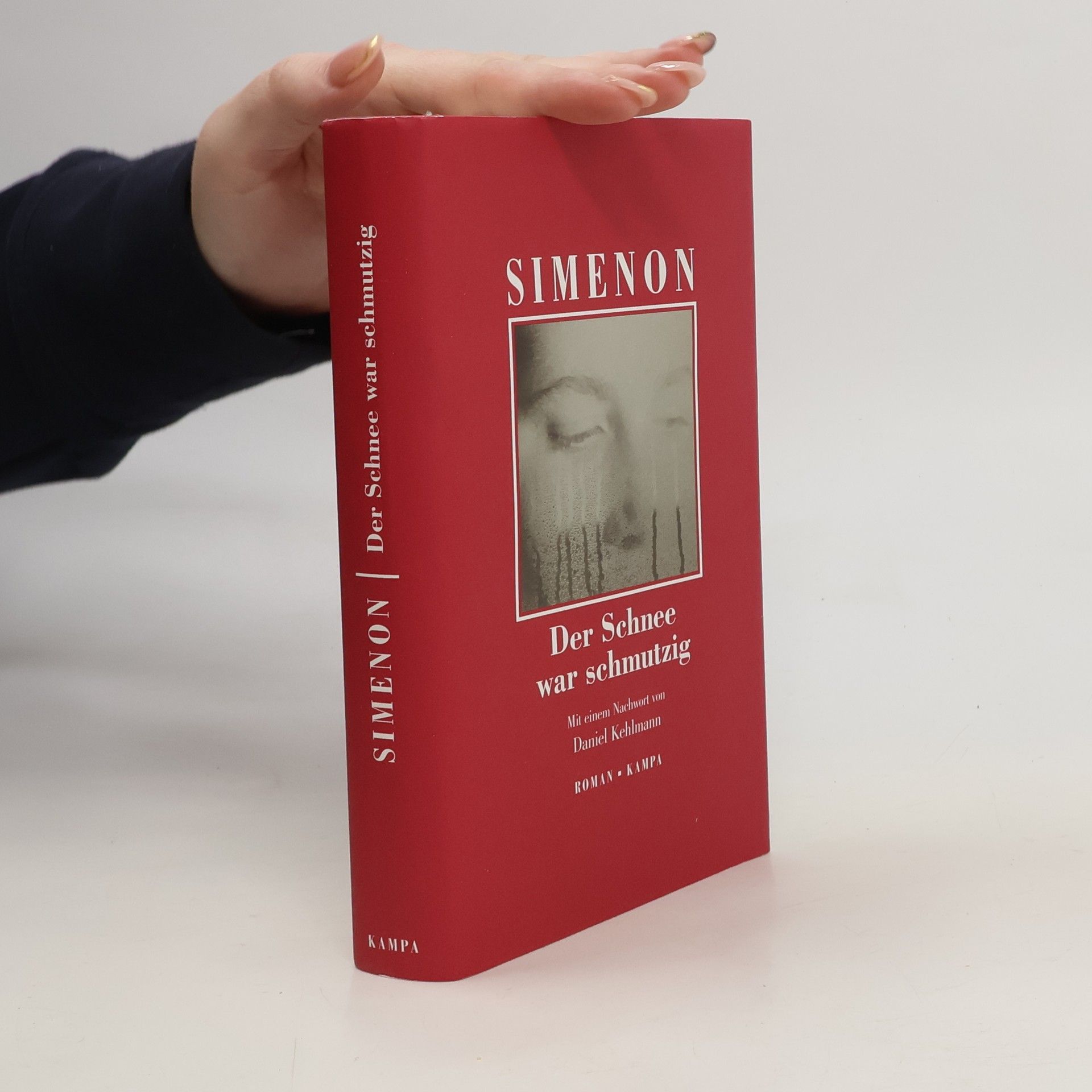 Georges Simenon Der Schnee war schmutzig