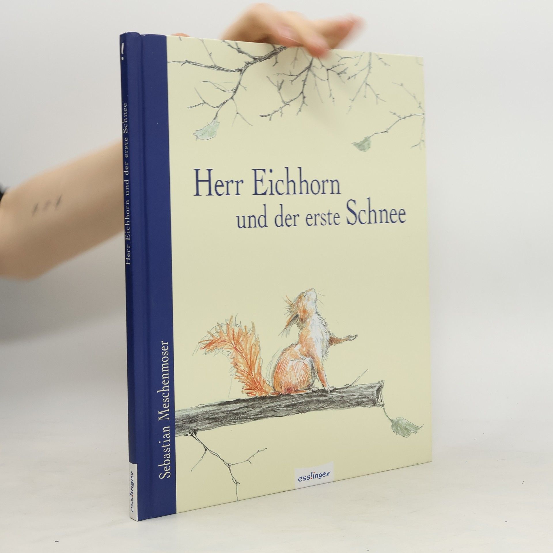 Sebastian Meschenmoser Herr Eichhorn und der erste Schnee