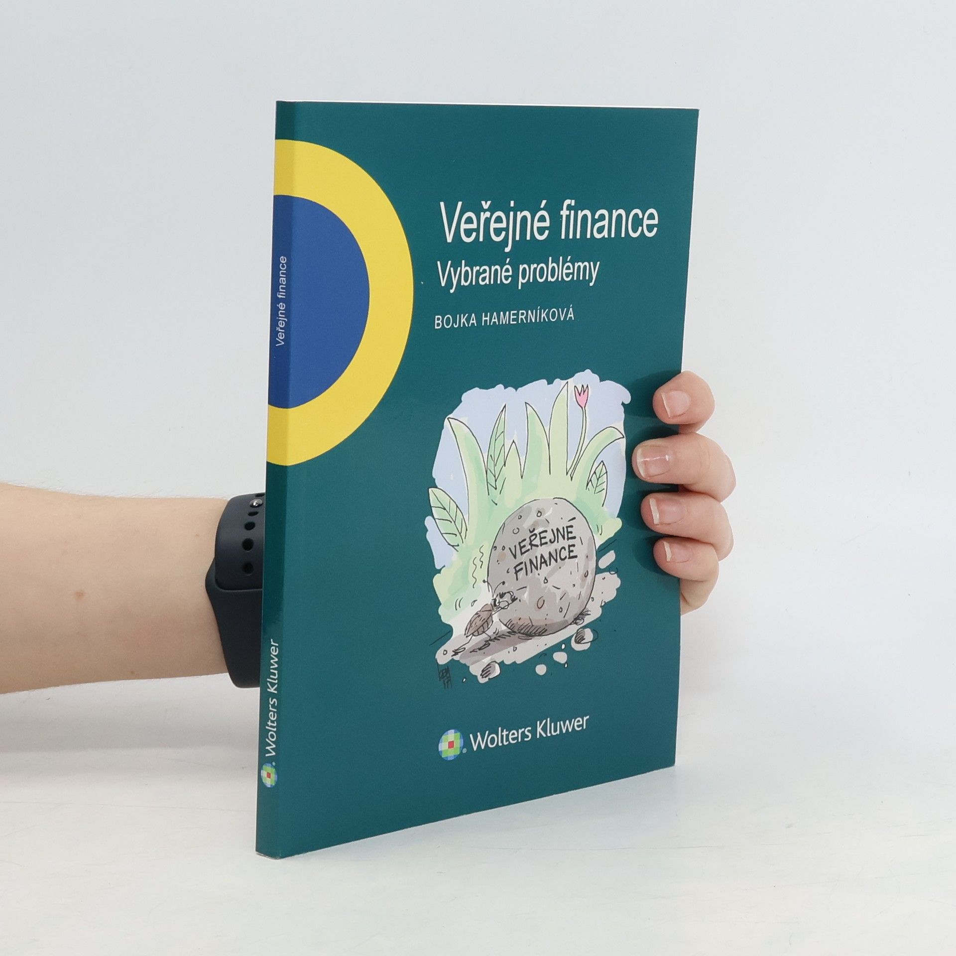 Bojka Hamerníková Veřejné finance - vybrané problémy
