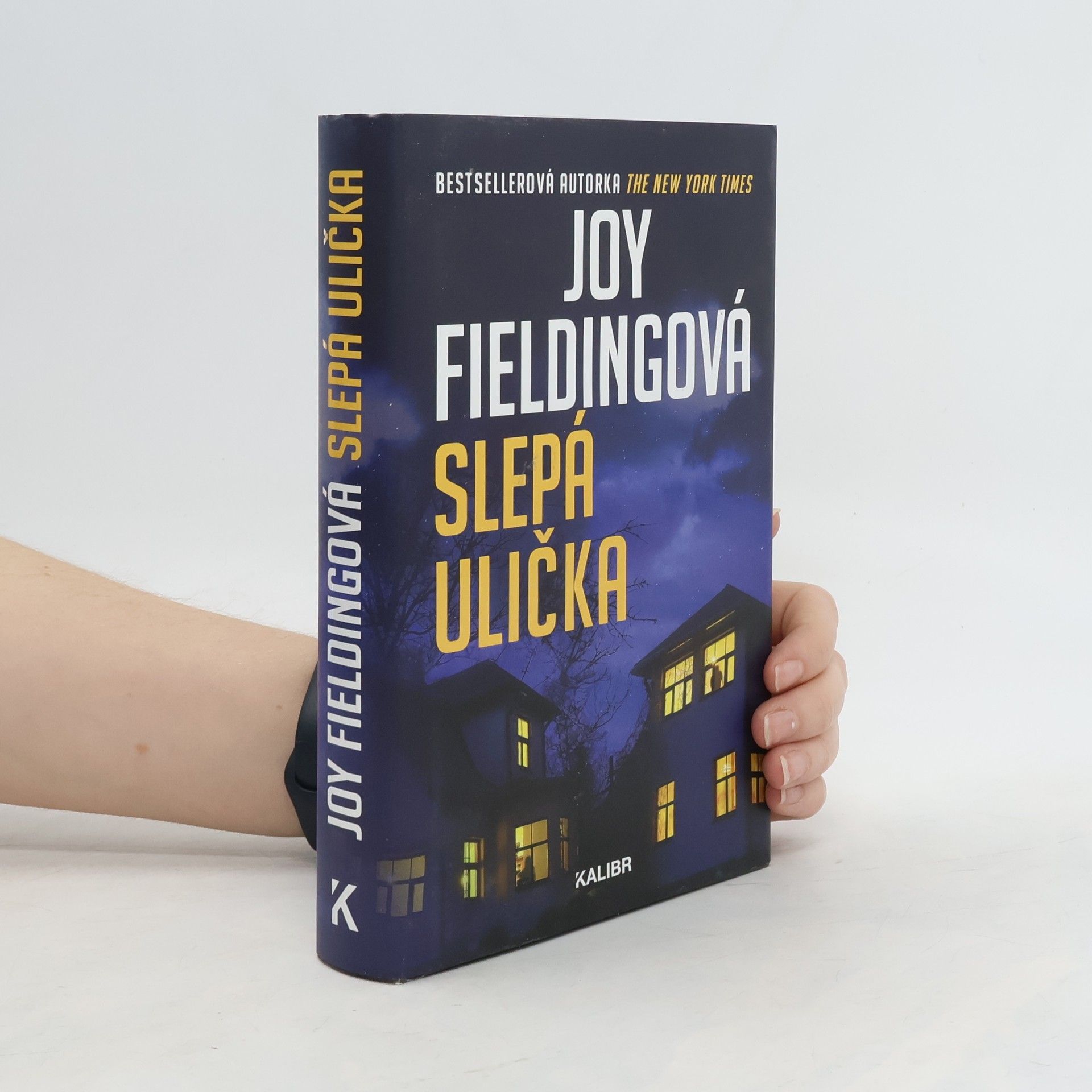 Joy Fielding Slepá ulička