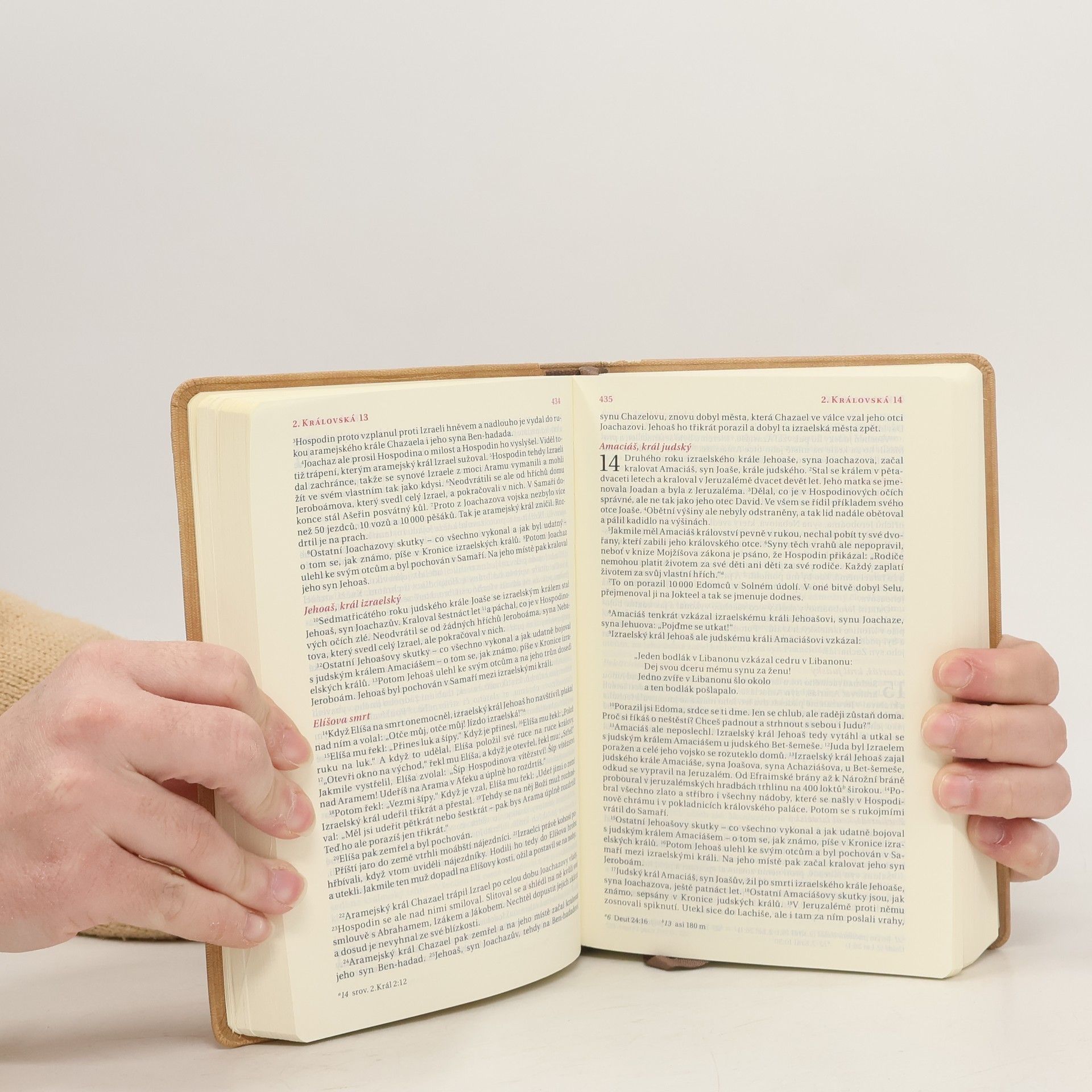 Alexandr Flek Bible. Překlad 21. století