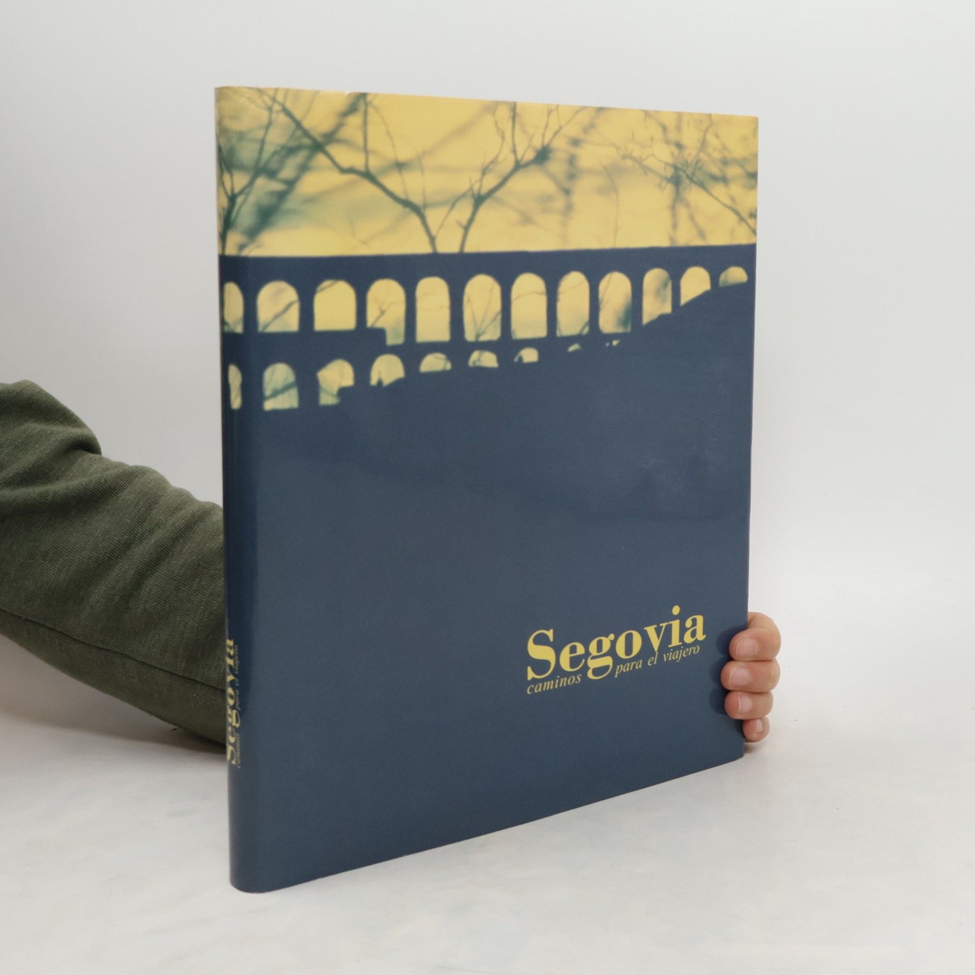 Collectif d'auteurs Segovia caminos para el viajero