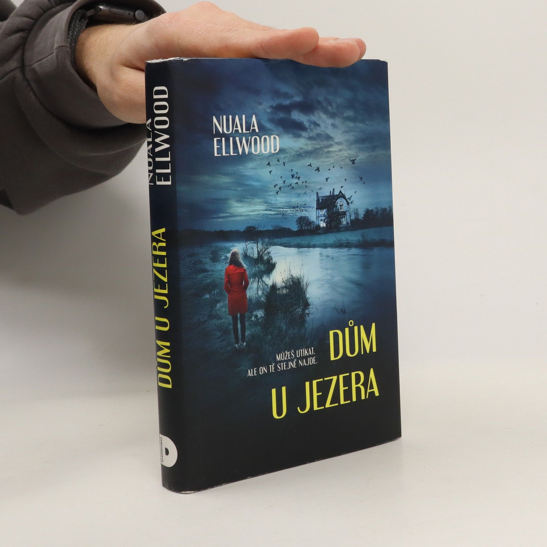 Nuala Ellwood Dům u jezera