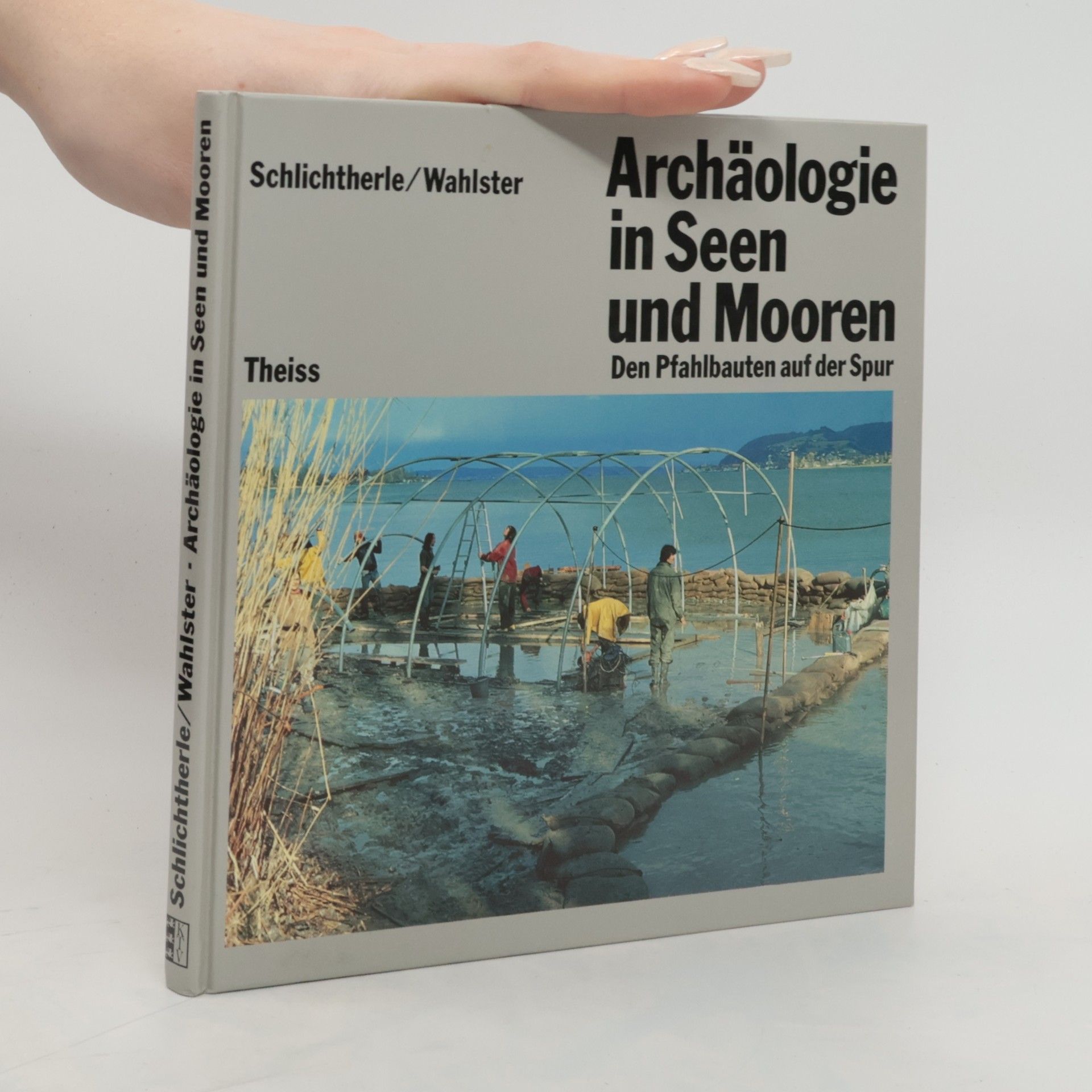 Helmut Schlichtherle Archäologie in Seen und Mooren
