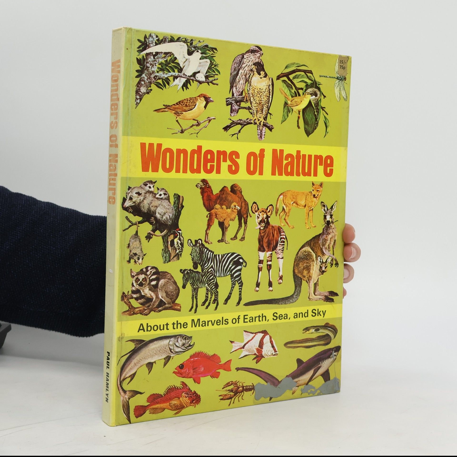 Marion B. Carr Wonders of Nature