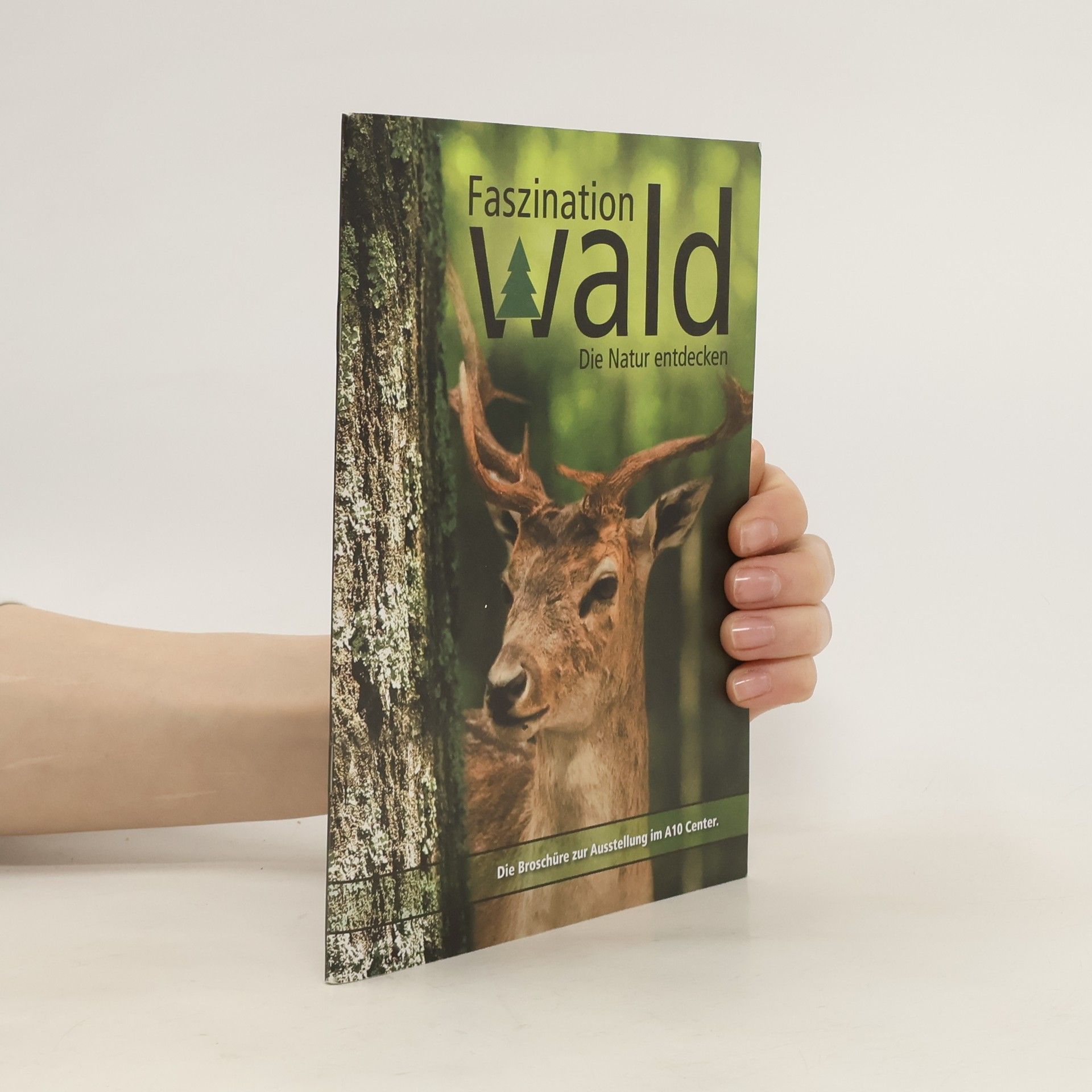 Collectif d'auteurs Faszination Wald