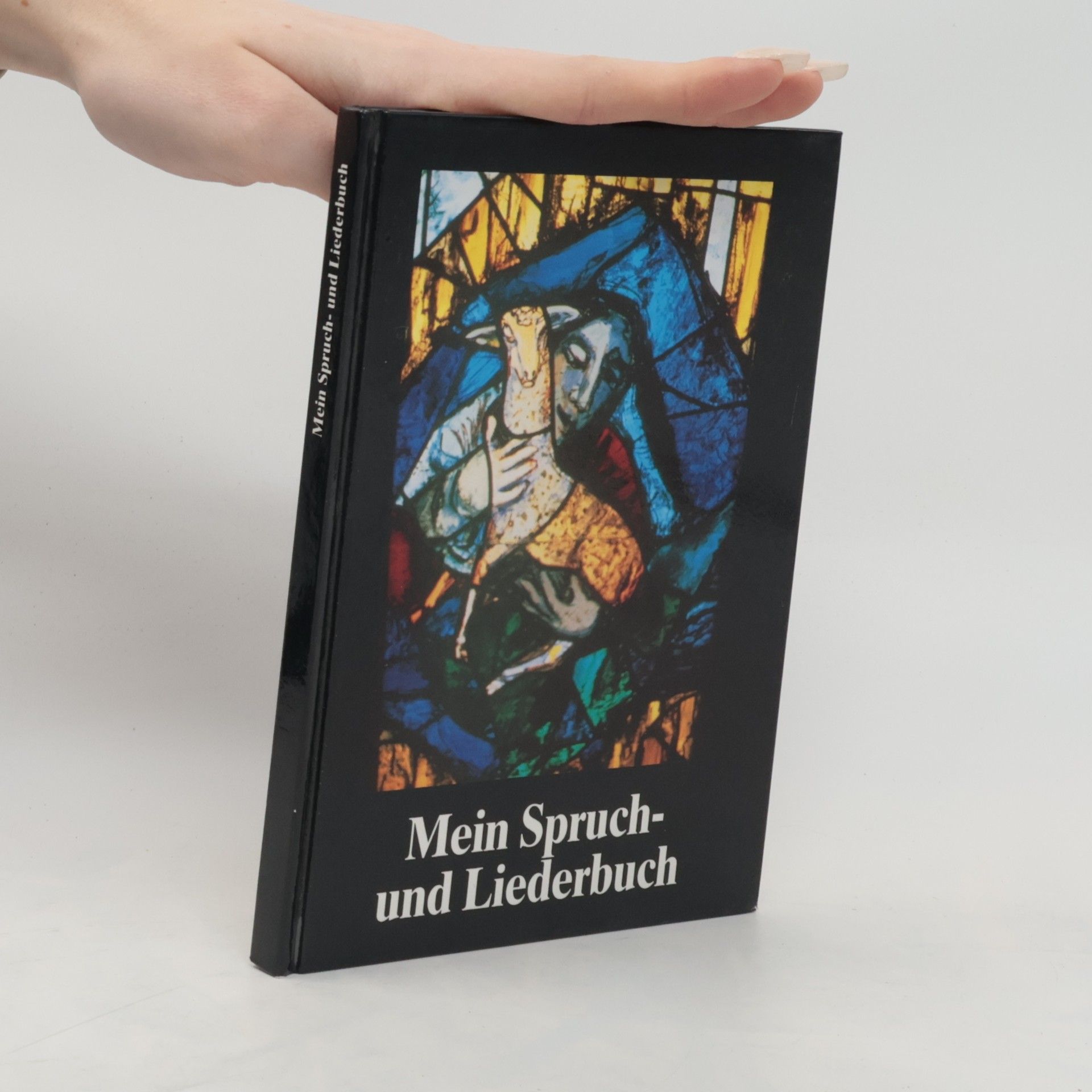 Autorenkollektiv Mein Spruch- und Liederbuch
