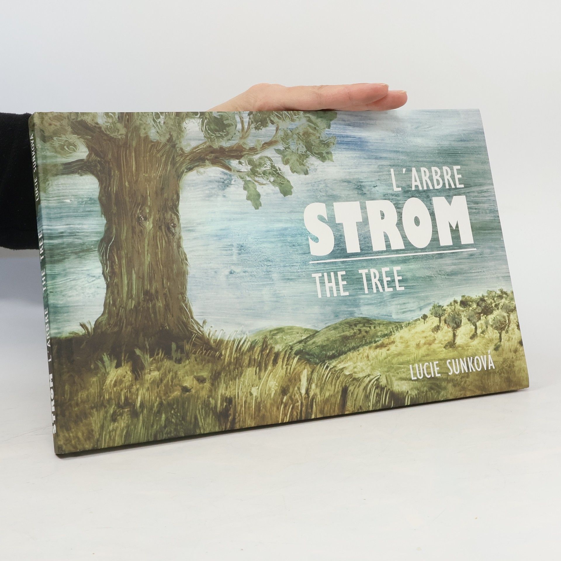 Collectif d'auteurs Strom
