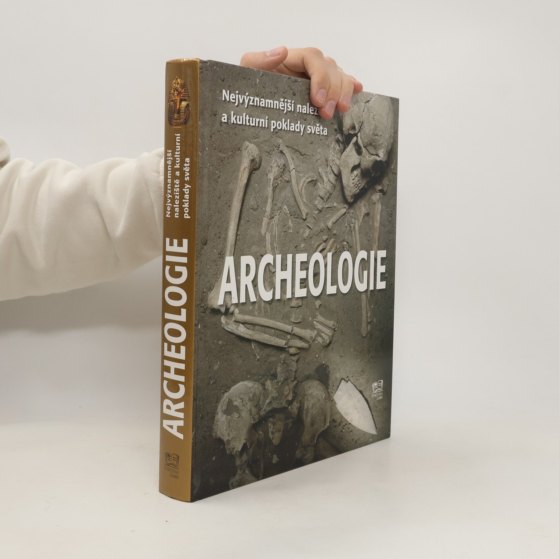 Bahram Ajorloo Archeologie: Nejvýznamnější naleziště a kulturní poklady světa