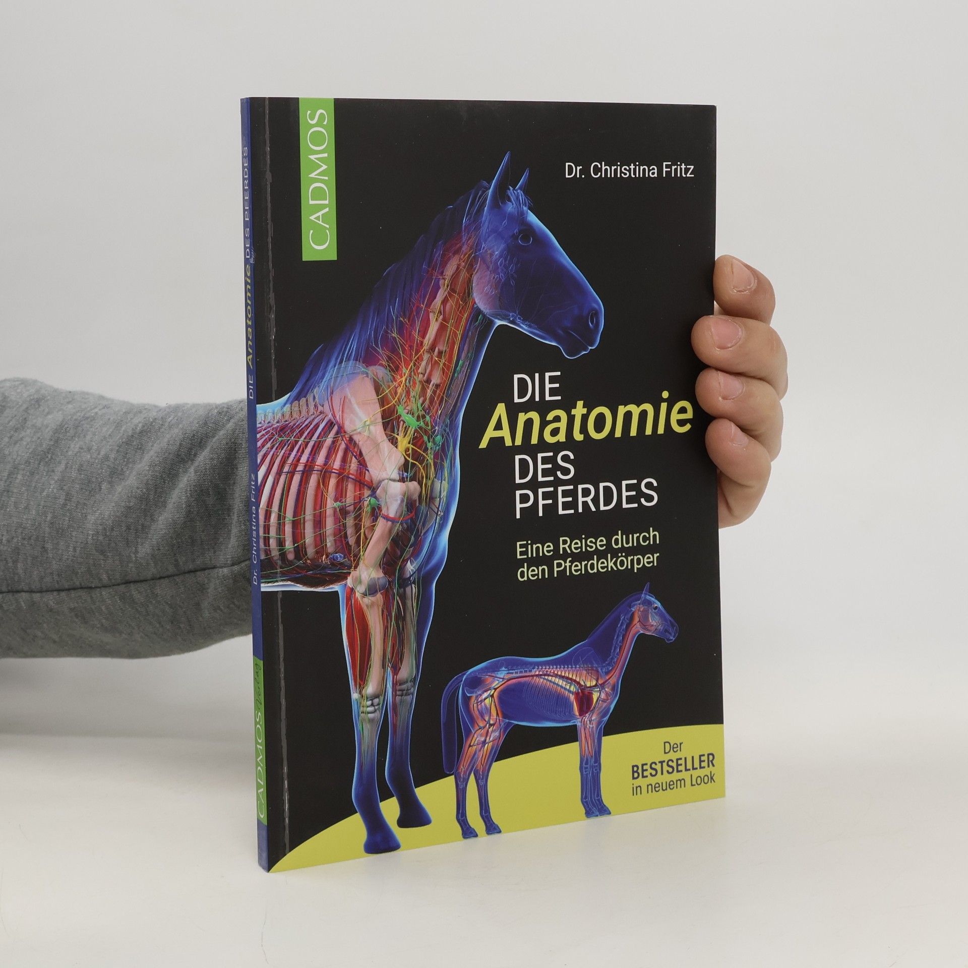 Christina Fritz Die Anatomie des Pferdes