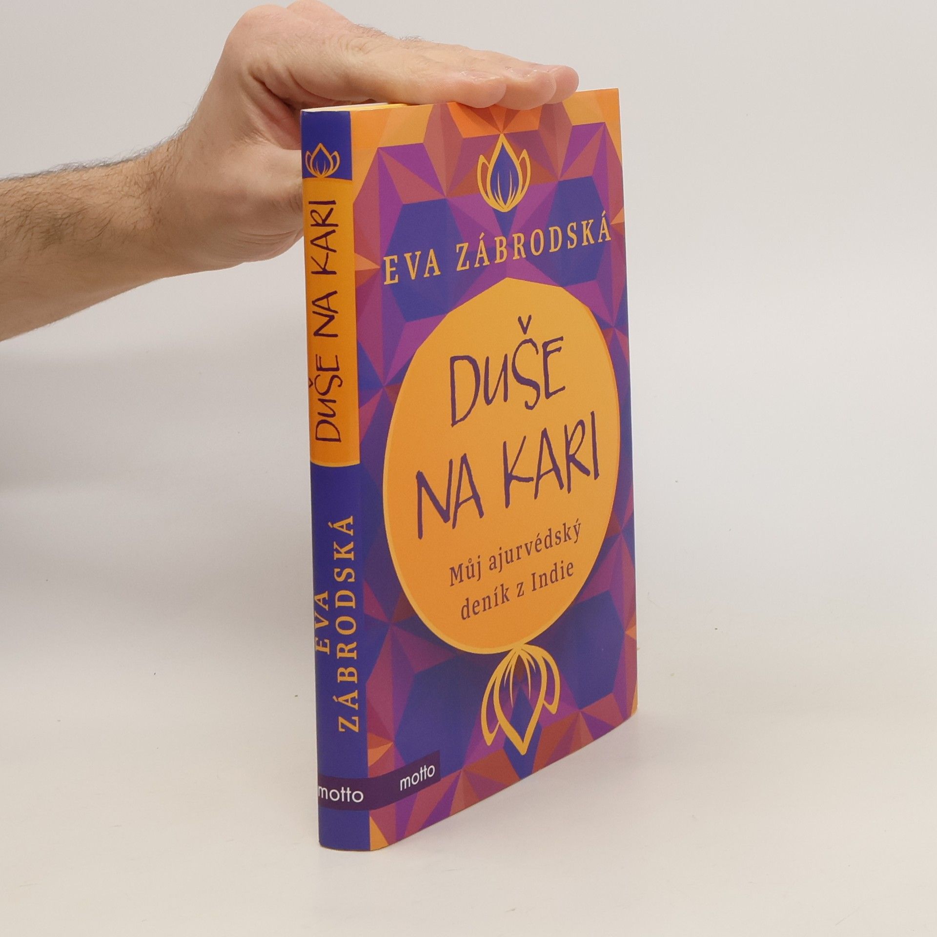 Eva Zábrodská Duše na kari: Můj ajurvédský deník z Indie