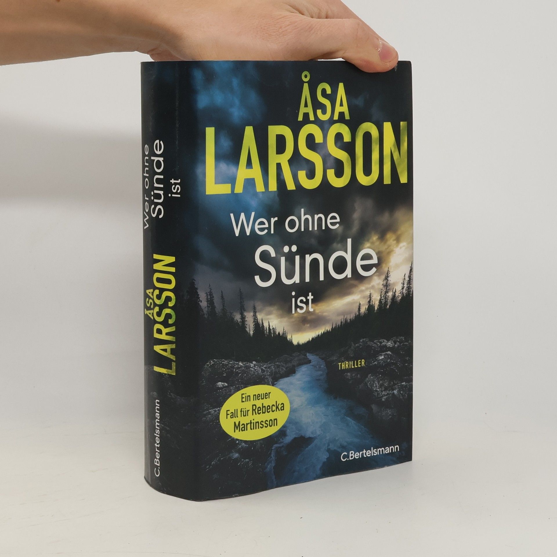 Åsa Larsson Wer ohne Sünde ist