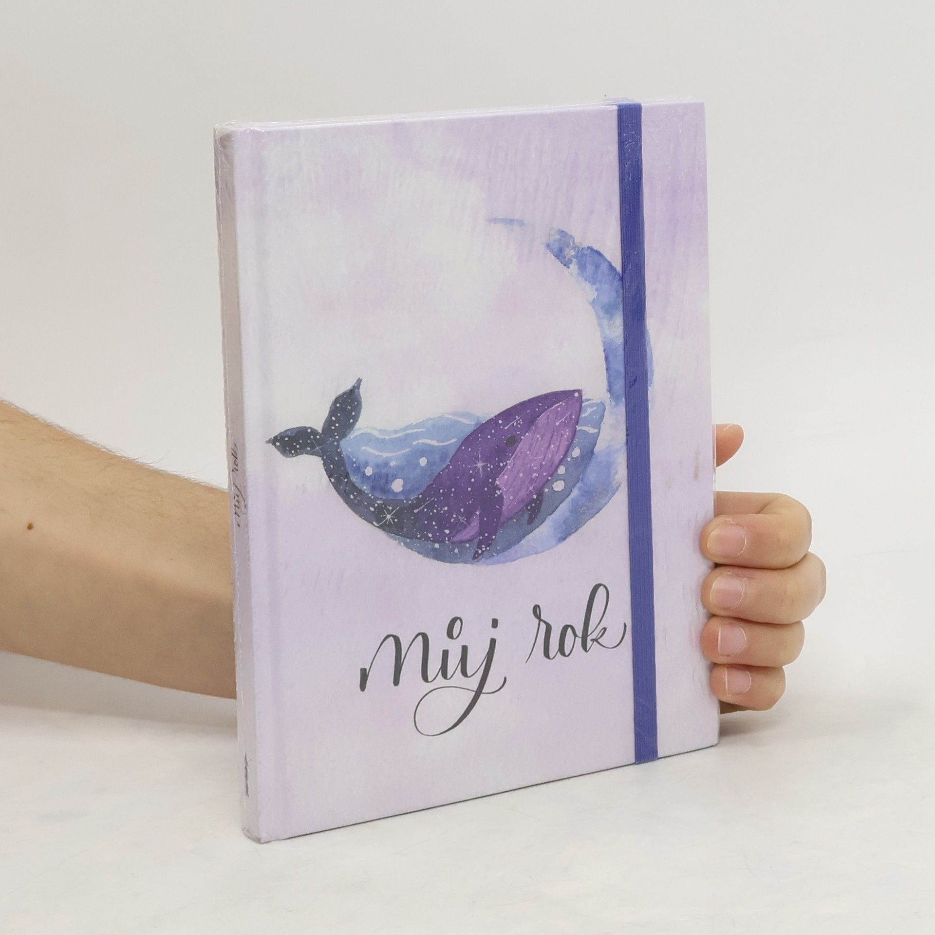 Adéla Maroušková Diář: Můj rok