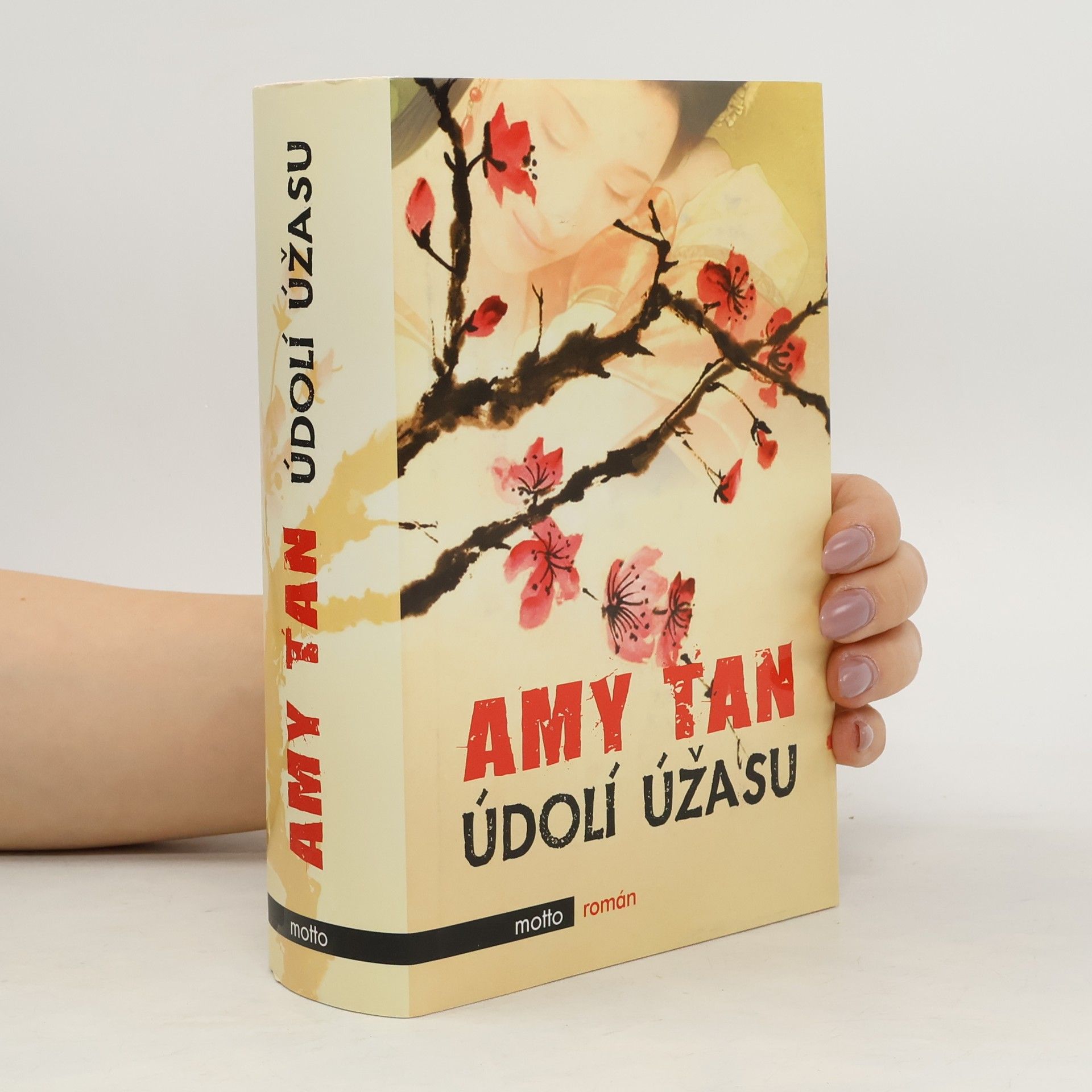 Amy Tan Údolí úžasu
