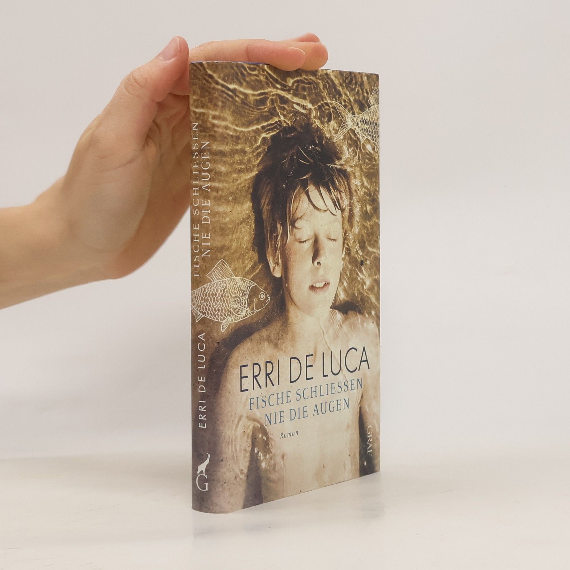 Erri De Luca Fische schließen nie die Augen
