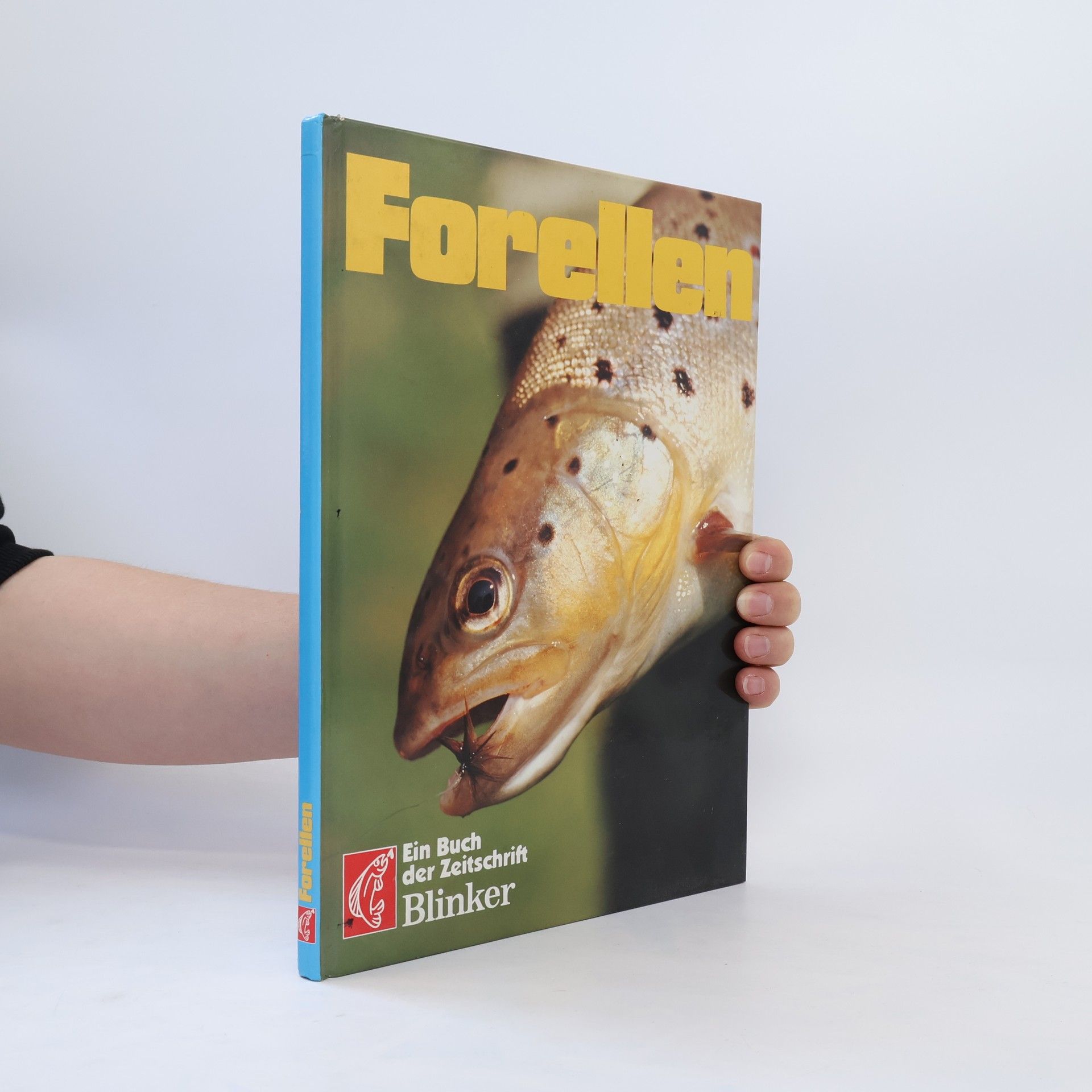 kolektiv Forellen