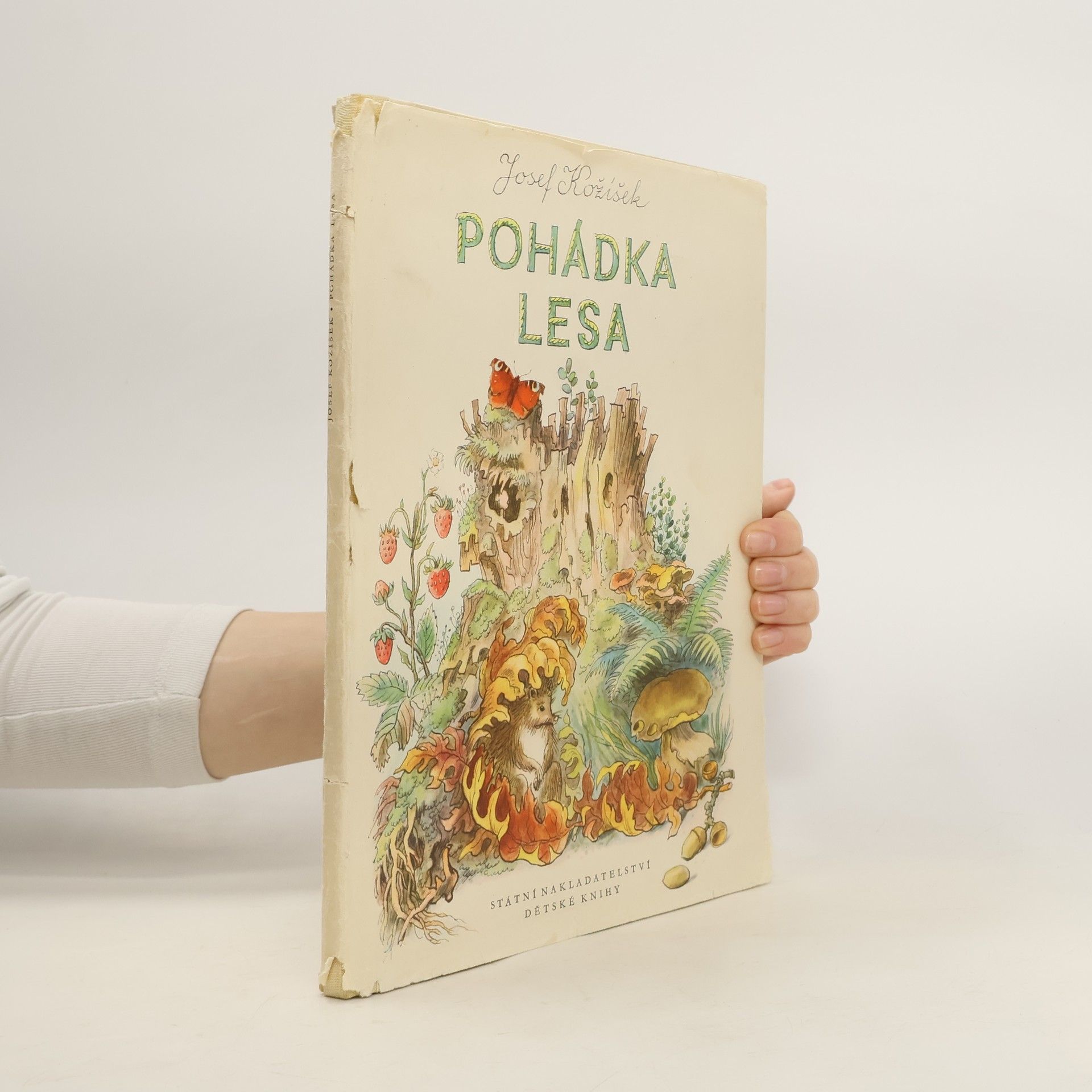 Josef Kožíšek Pohádka lesa