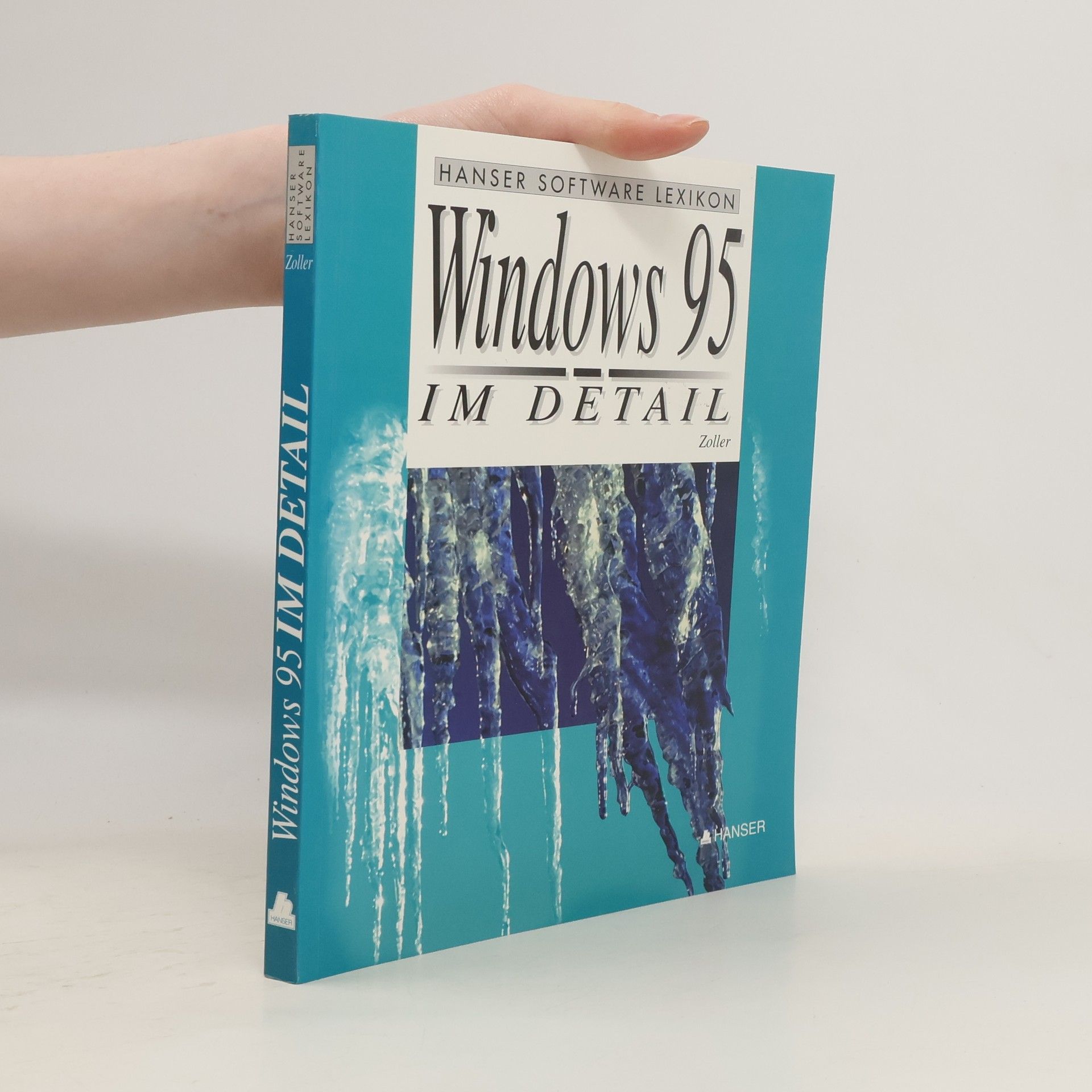 Dirk Zoller Windows 95 im Detail