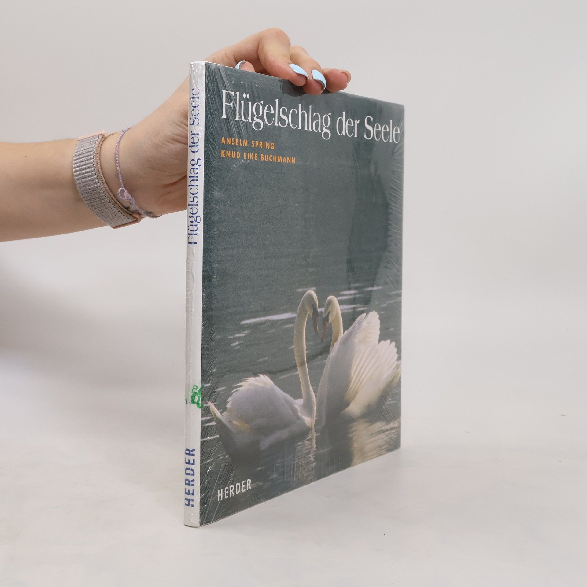 Knud Eike Buchmann Flügelschlag der Seele