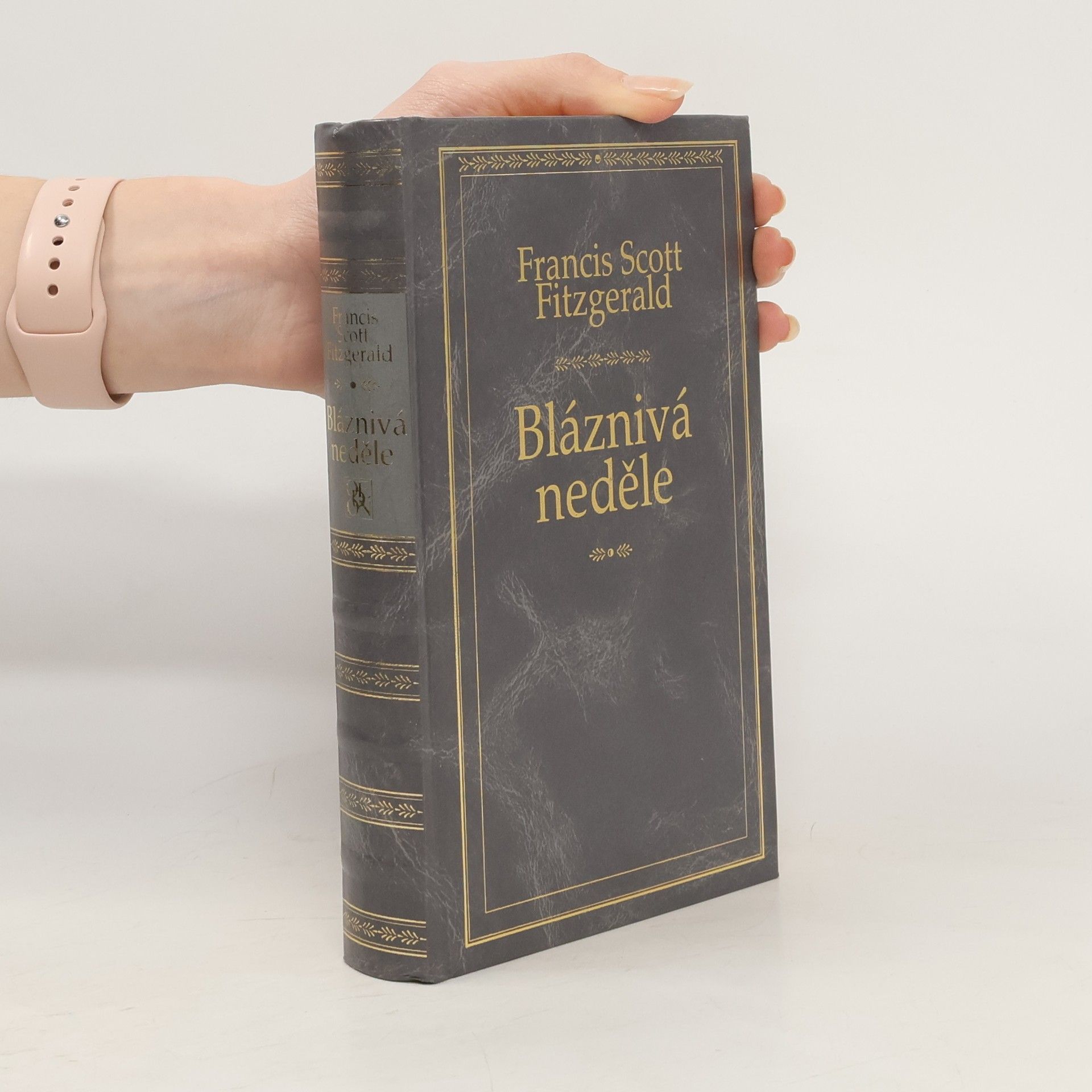 Francis Scott Fitzgerald Bláznivá neděle a jiné povídky