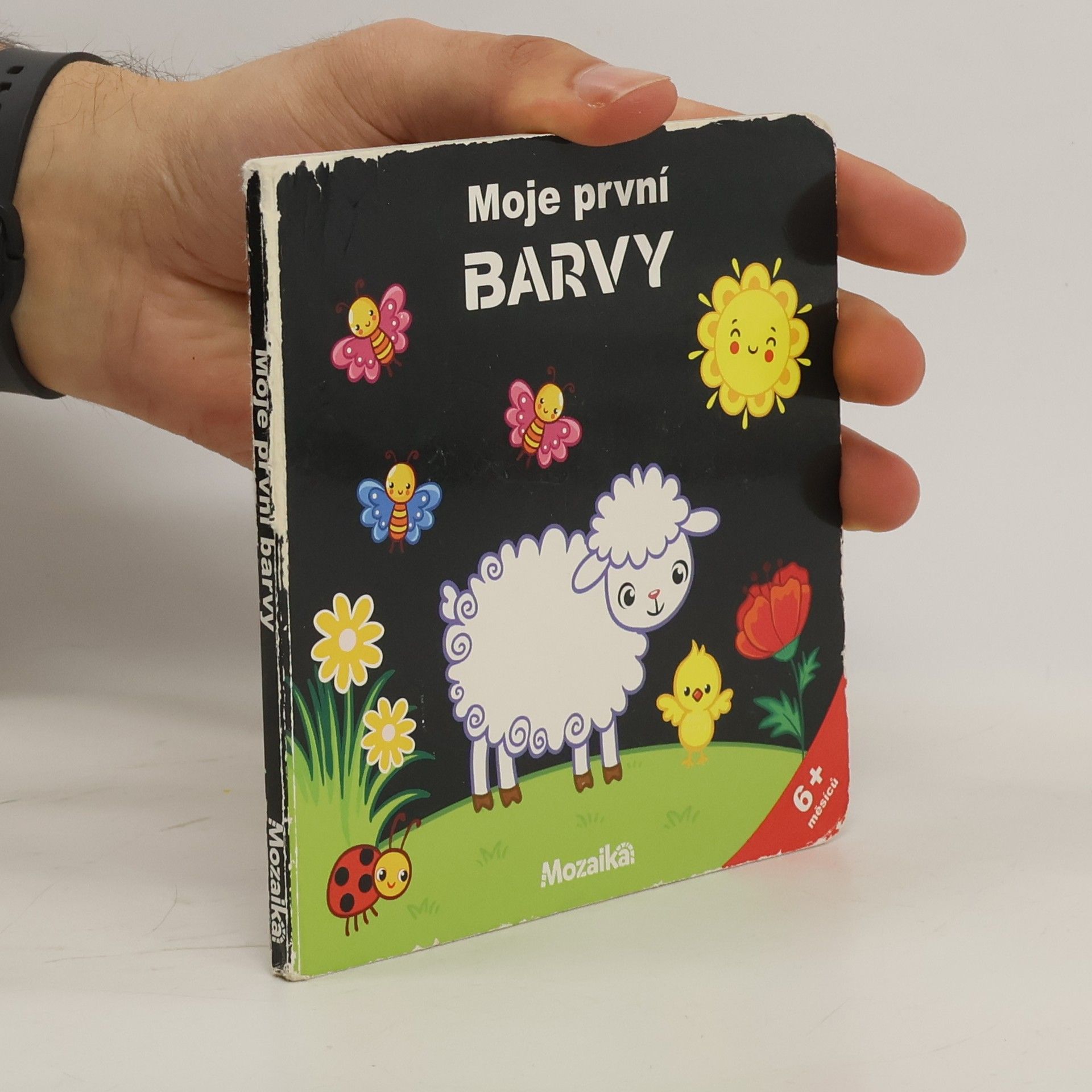 kolektiv Moje první barvy