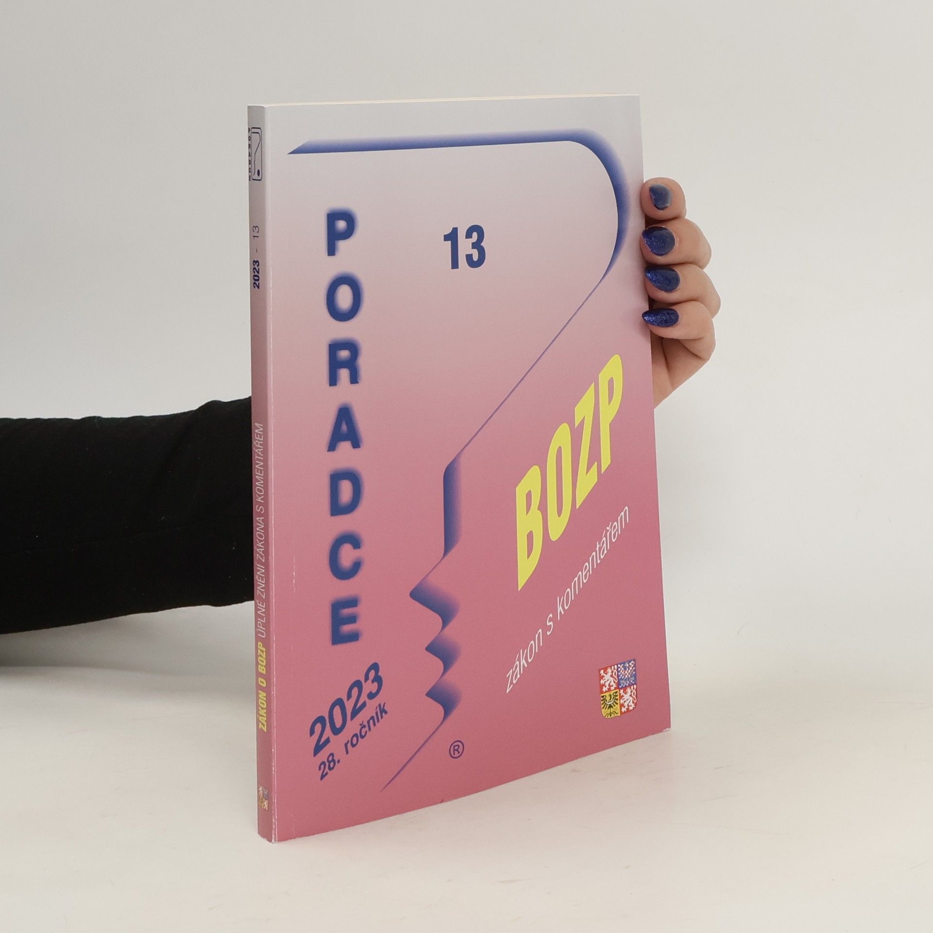 Autorenkollektiv Poradce 13. BOZP