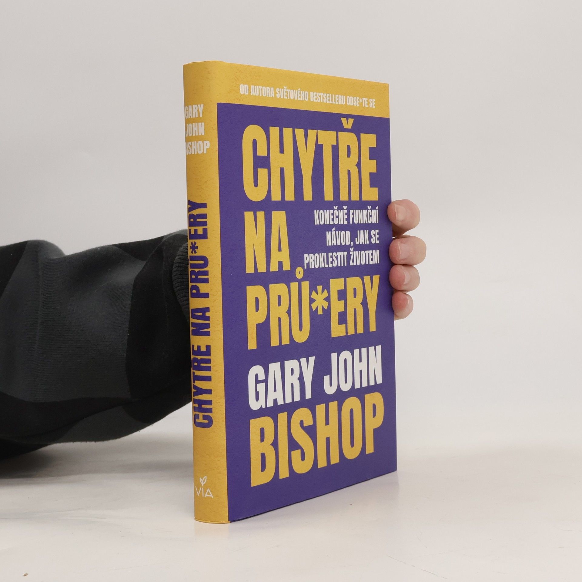 Gary John Bishop Chytře na prů*ery : konečně funkční návod, jak se proklestit životem