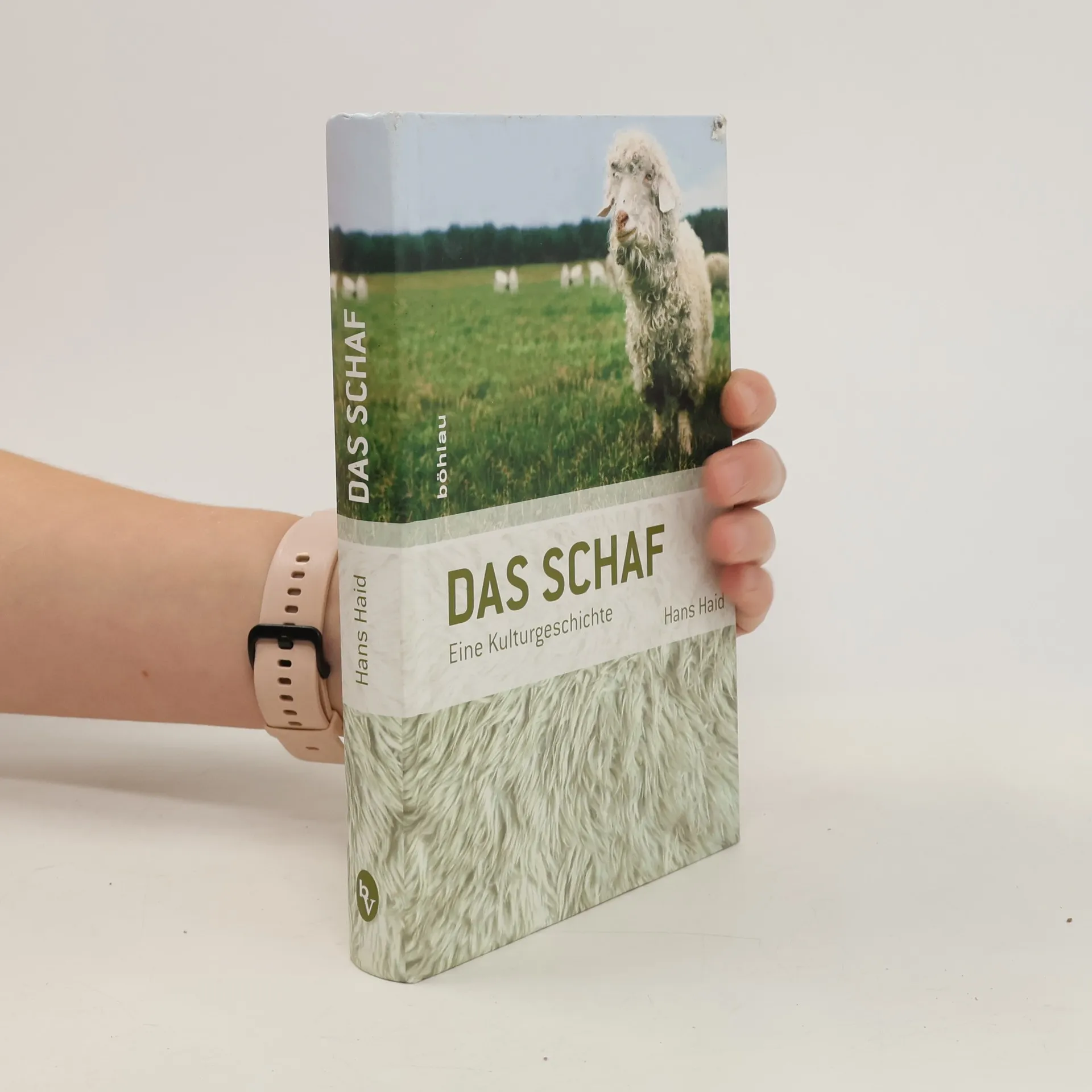 Das Schaf | Kniha | Hans Haid | DE