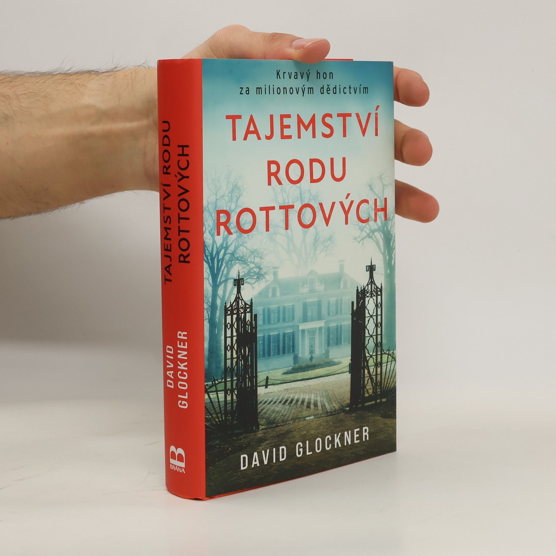 David Glockner Tajemství rodu Rottových