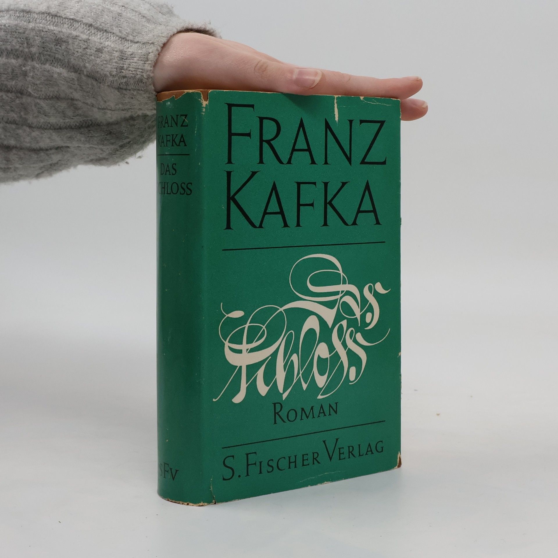 Franz Kafka Das Schloss